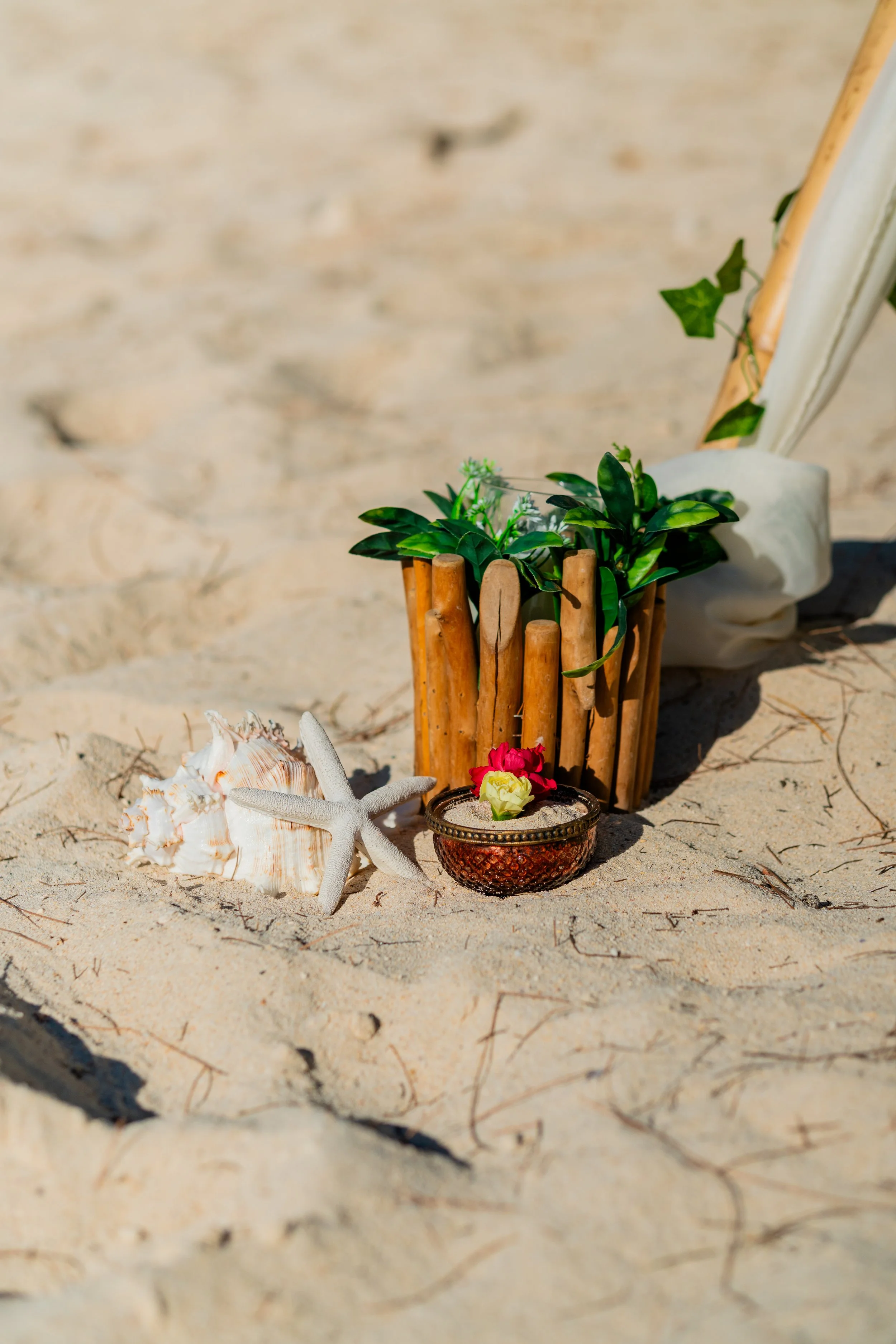 Ile Maurice 2025-4.jpg