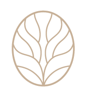 wellness retreat for women Spain, wellness retreat Andalusia, wellness retreat Costa del Sol, premium wellness retreat Spain, small group women retreat, gentle yoga retreat Andalusia, Andalusian finca retreat, wellness retreat near Málaga