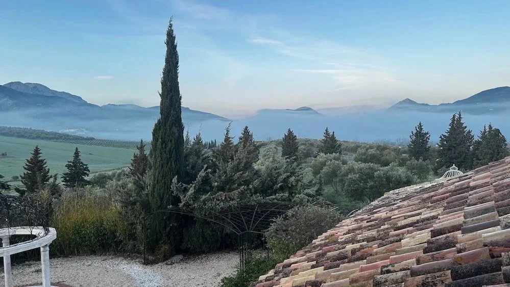 Andalusian finca wellbeing retreat, wellbeing retreat venue near Málaga, Costa del Sol wellbeing retreat venue, small group retreat venue Andalusia, authentic Andalusian finca, wellbeing retreat olive groves Andalusia