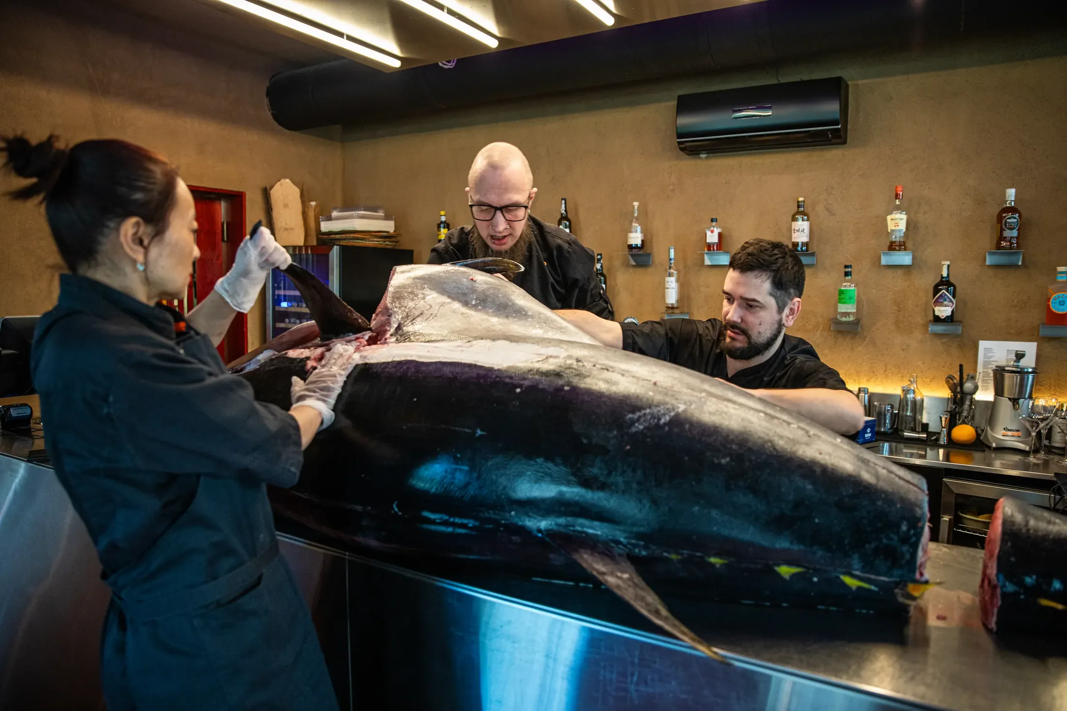 Šefai pjausto mėlynpelekį tuną I hate sushi bare