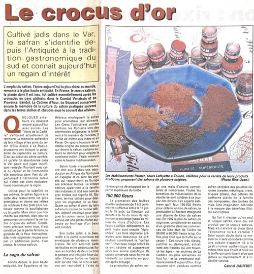 Article de presse intitulé Le crocus d'or, illustré de pots de safran