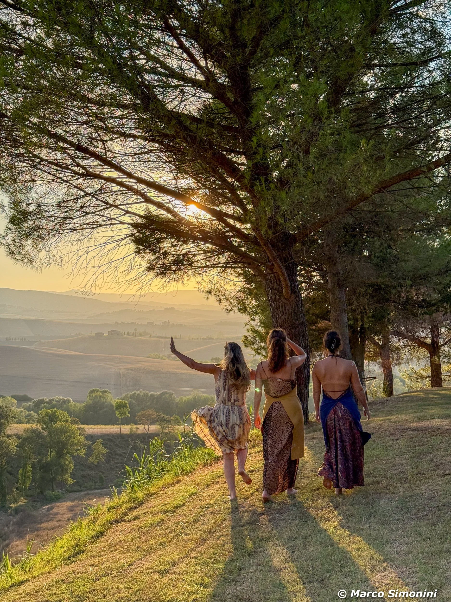 Marco Simonini-2539.jpg