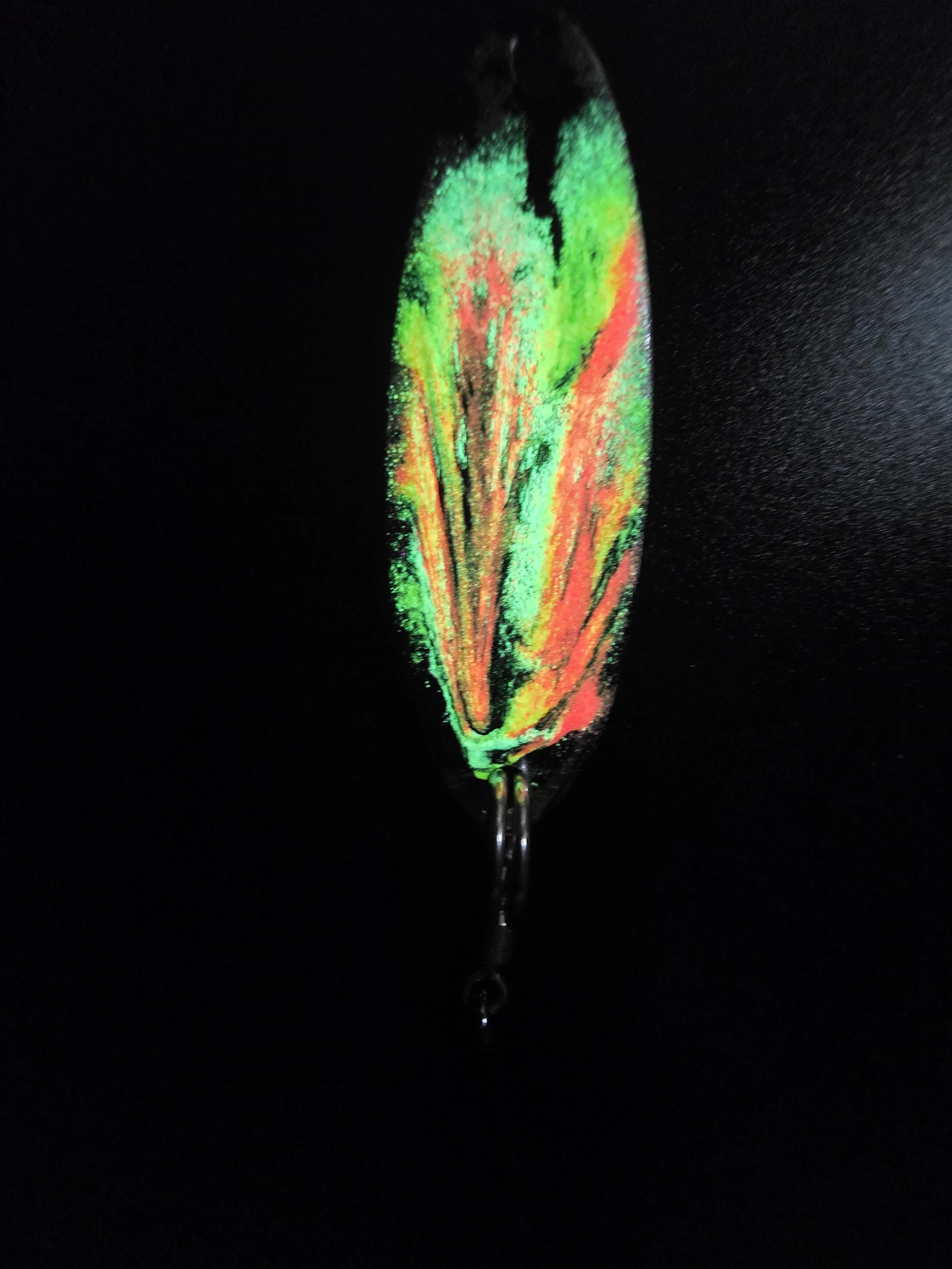 20260501_021351.jpg
