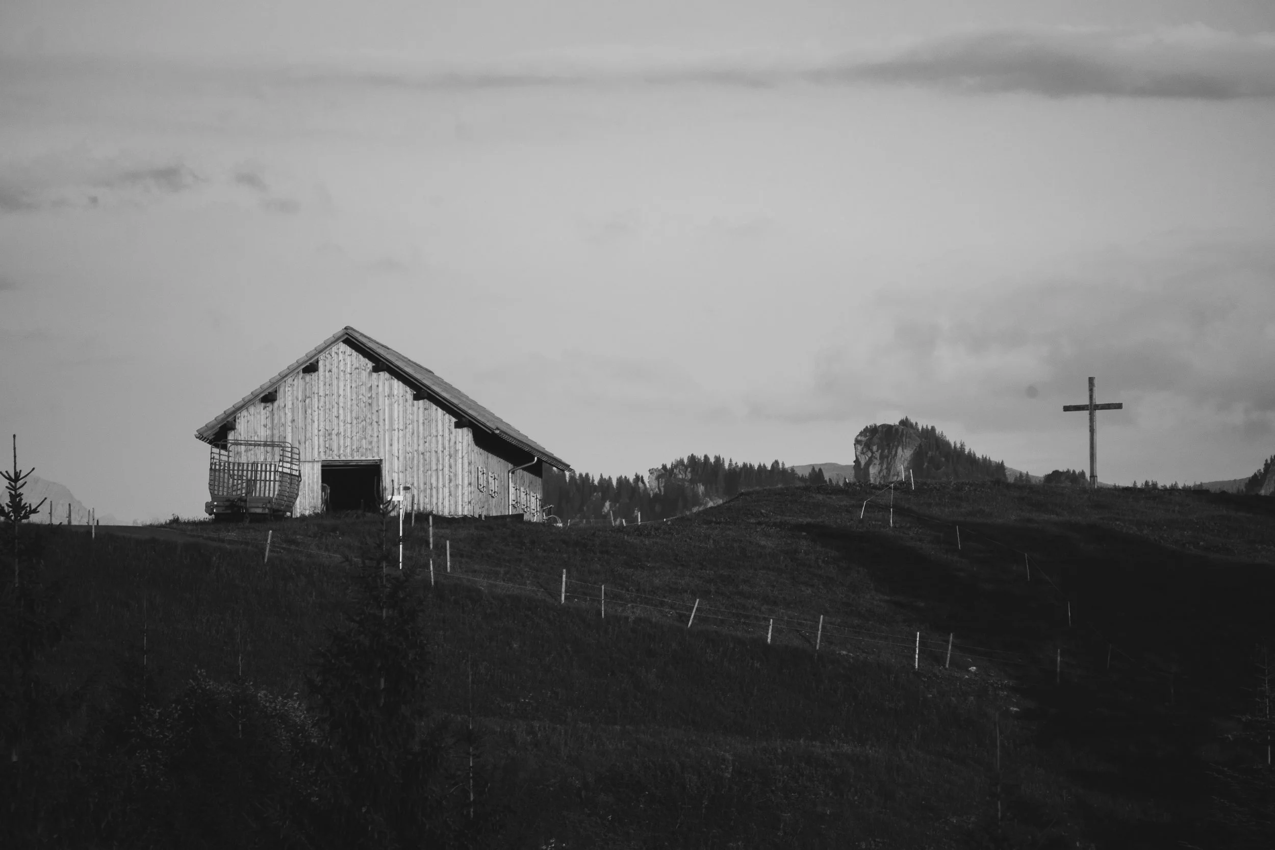 Halwina Bregenzerwald-39.jpg