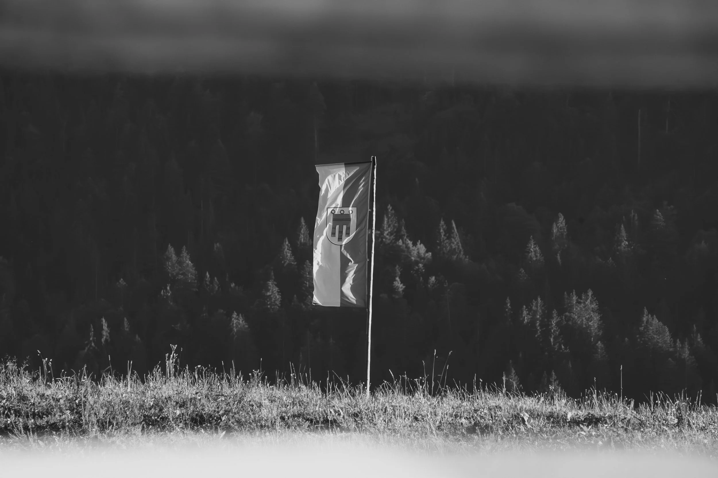 Halwina Bregenzerwald-31.jpg