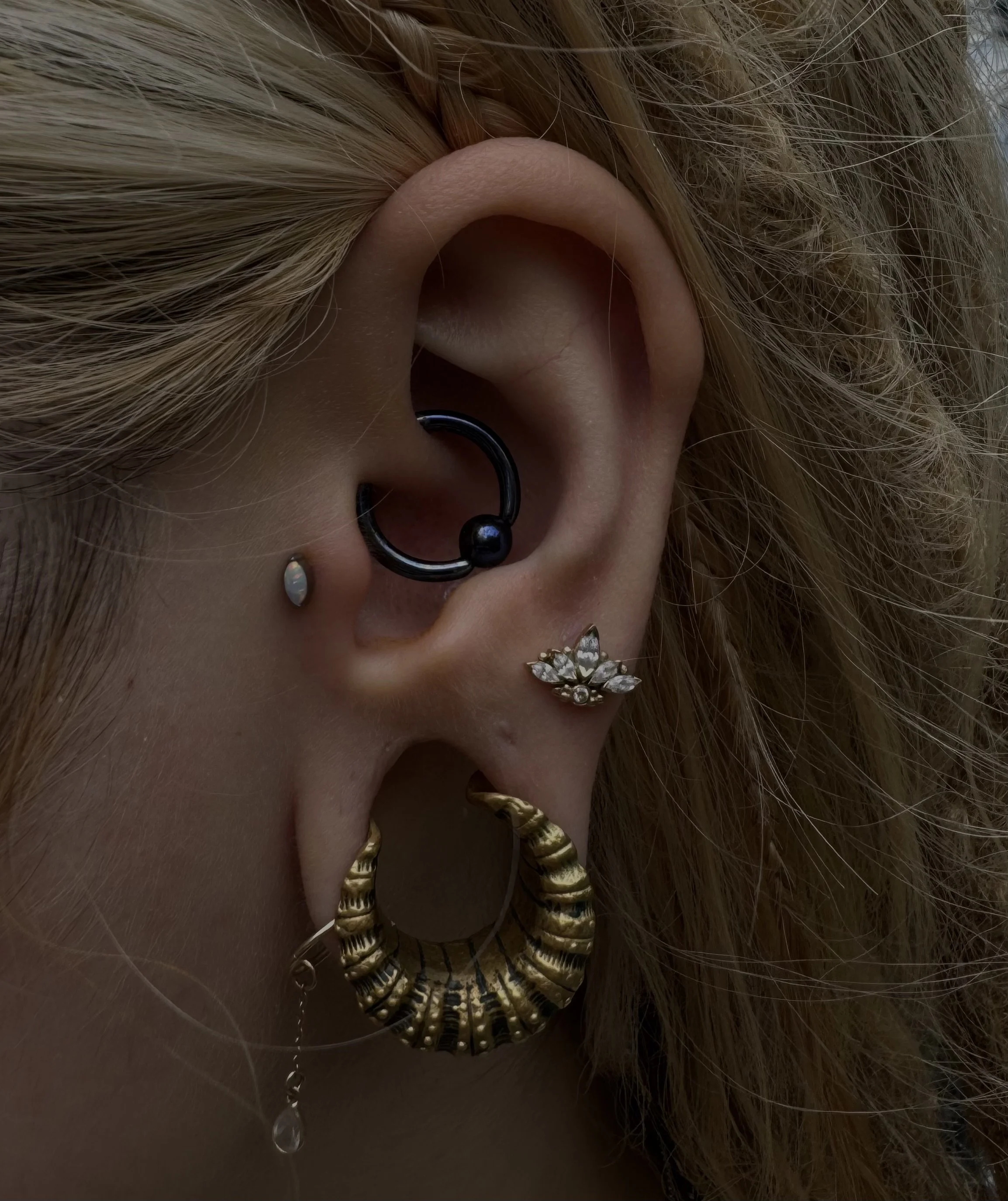 Tragus / Anti-Tragus