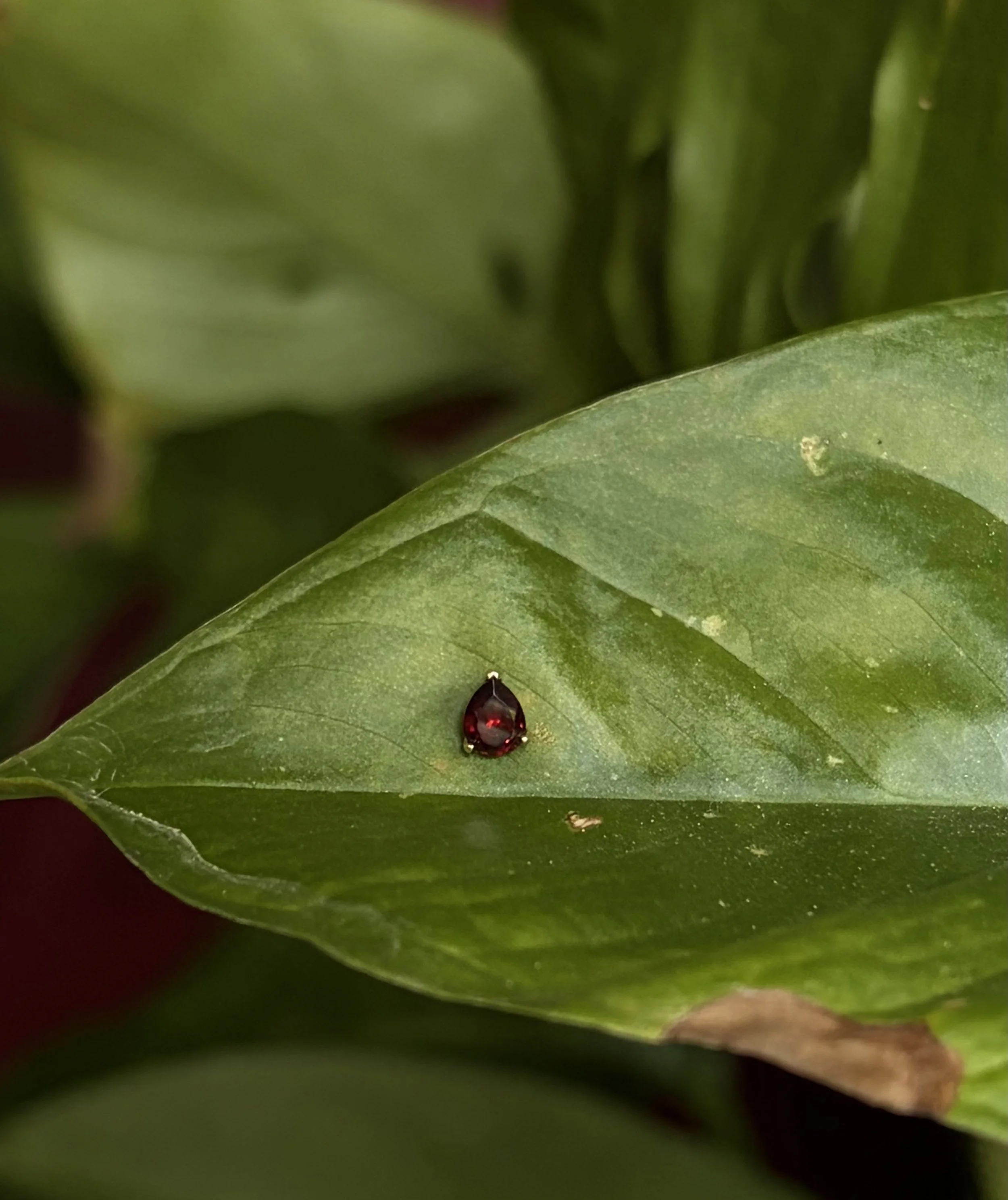 Poire Belle Faceted - Garnet