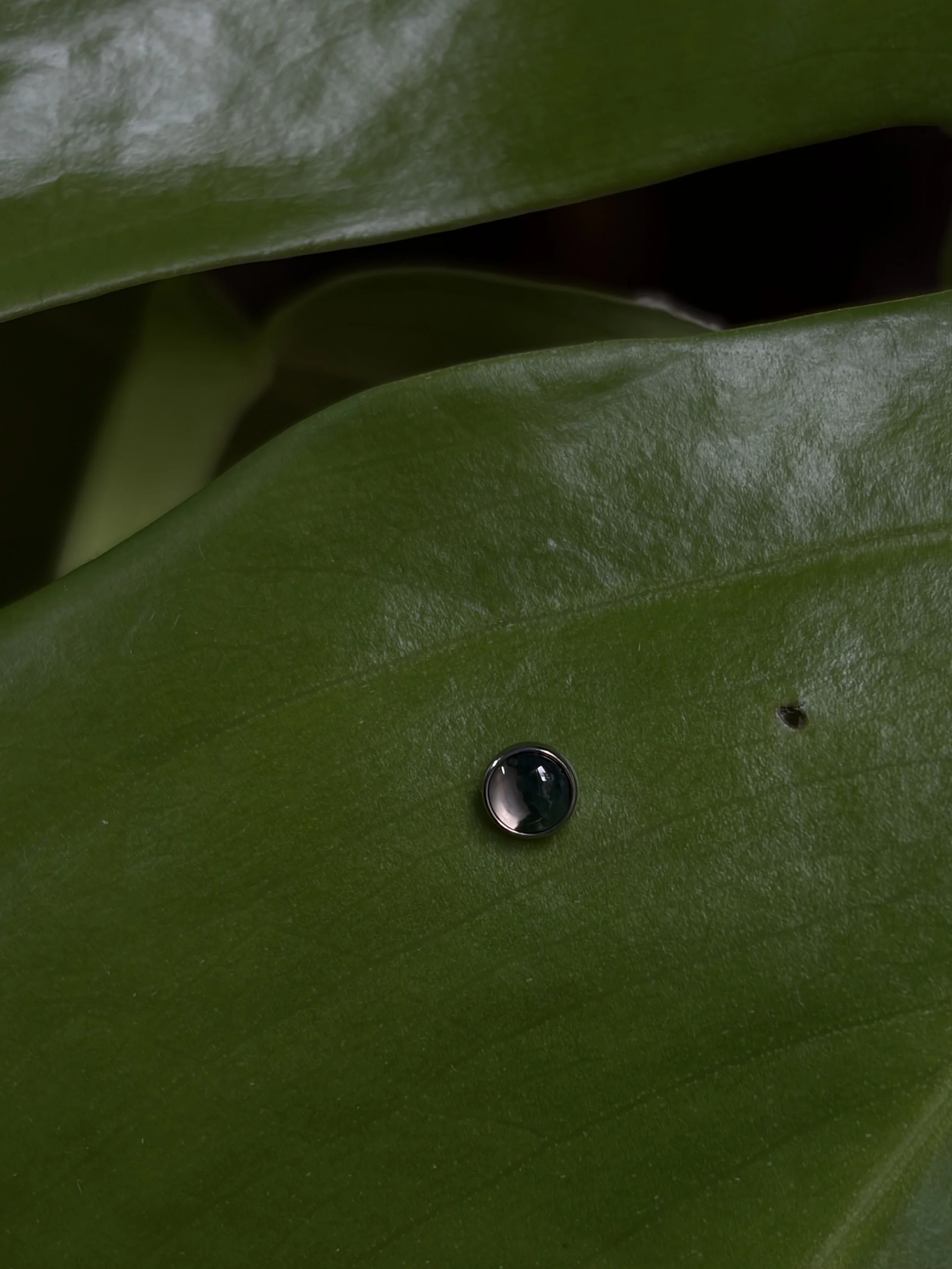 Implant-grade Moss Agate Cabochon - Threadless