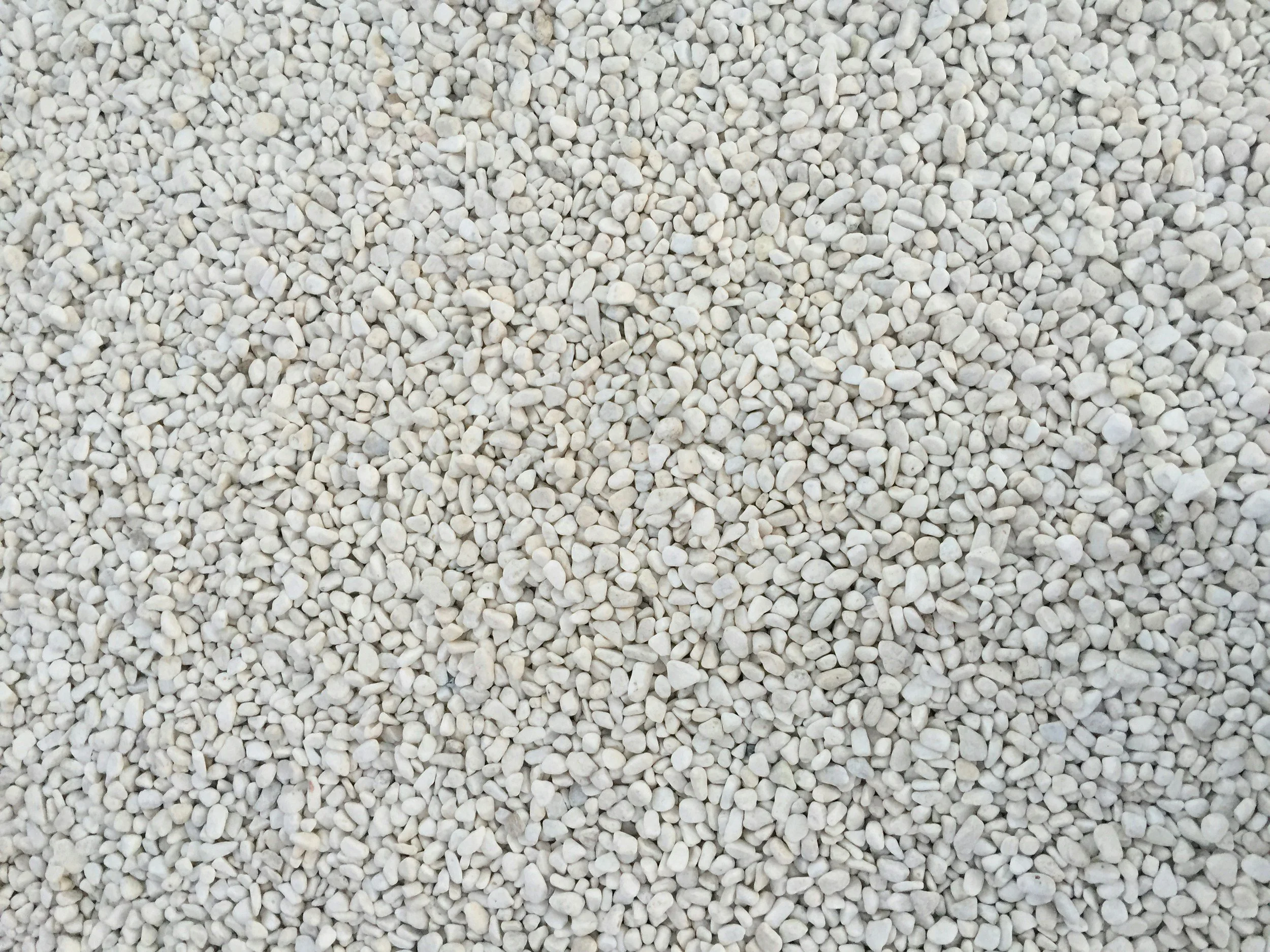 Close-up view of small white pebbles covering the ground.