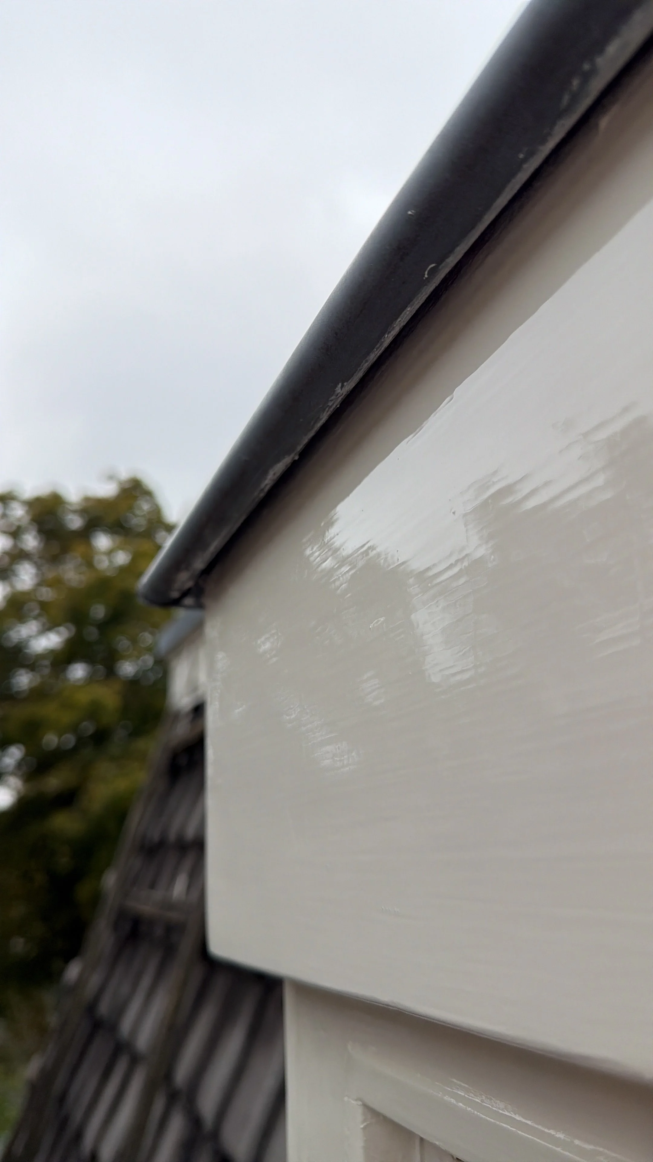 Close-up van de rand van een dak en de gevel van een wit gebouw, met een donkere daklijst en een grijze hemel op de achtergrond.