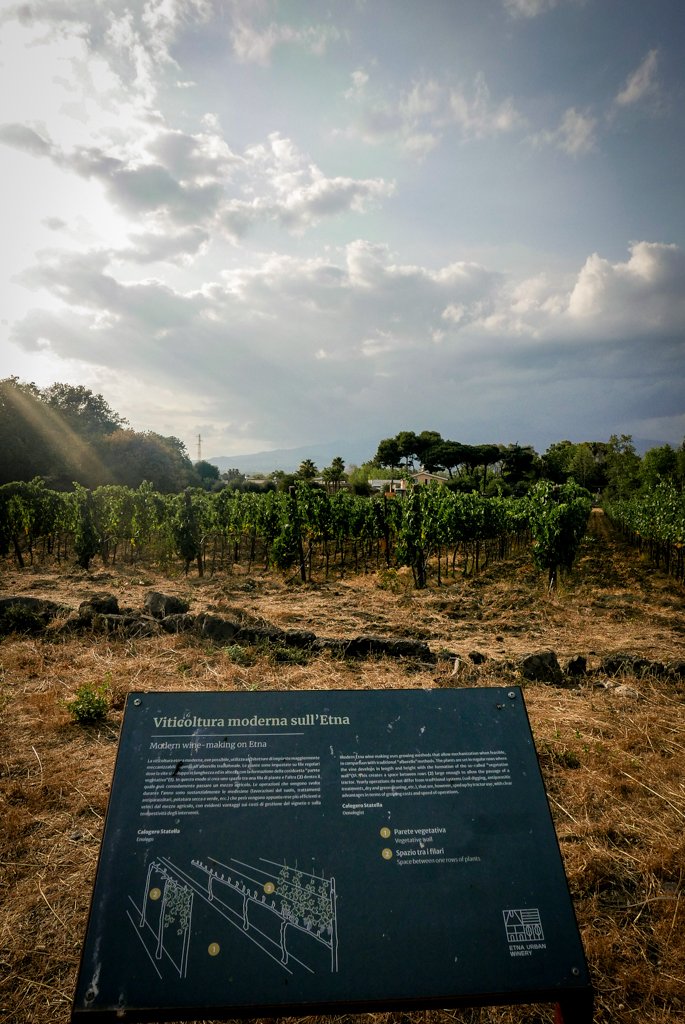 Catania-12.jpg