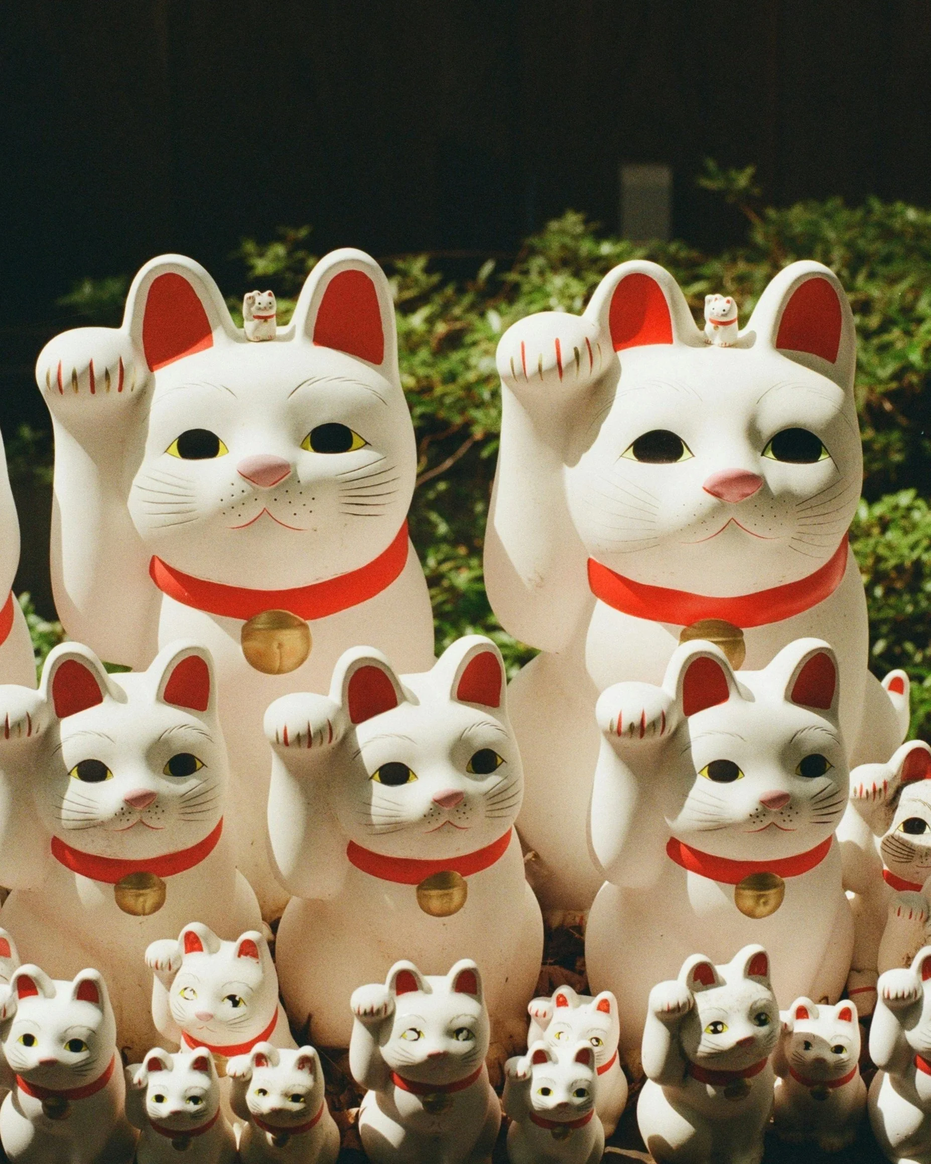Flera små vita Maneki-neko lyckoframkallande katter med röda detaljer, guld och svart, står i rader mot ett grönt buskigt bakgrund.