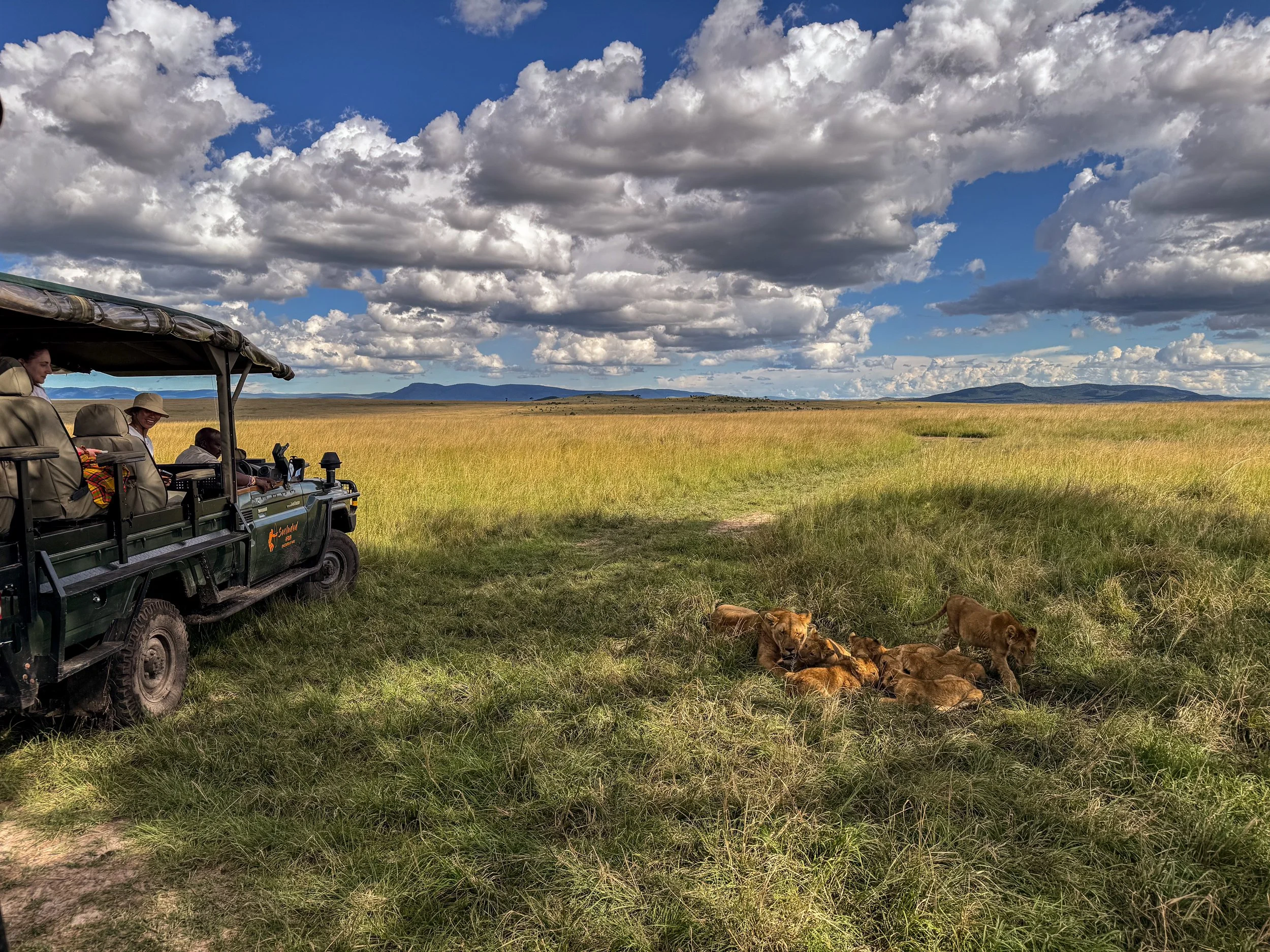 Bästa Safari i Kenya