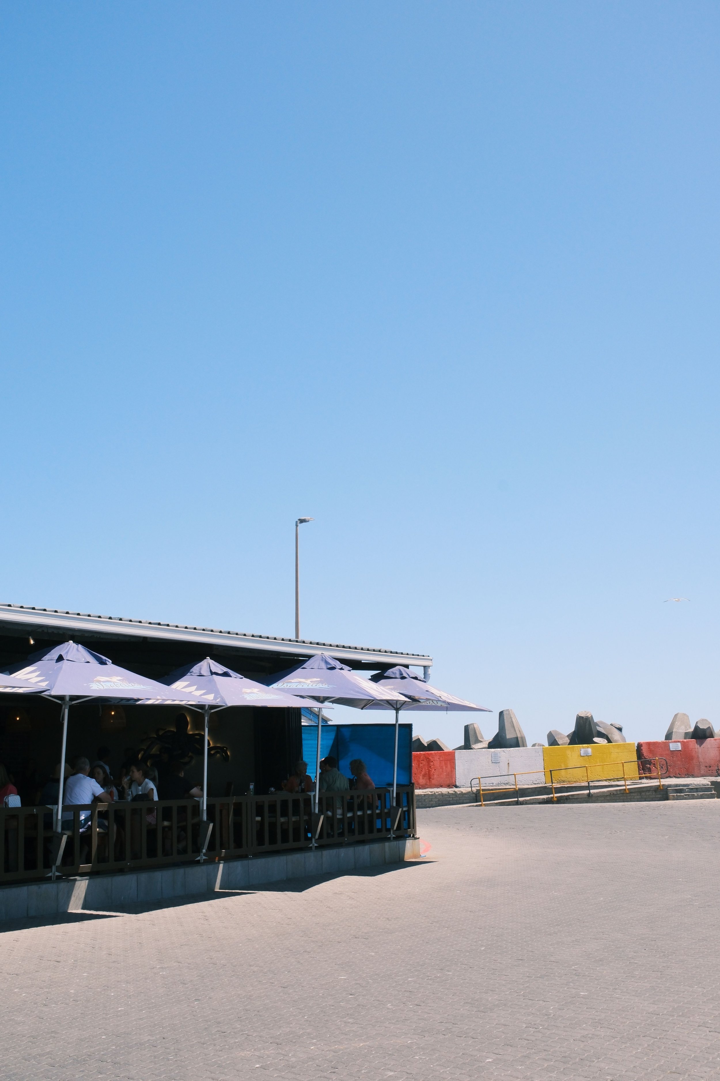 The Ultimate Day Trip: Bird Island &amp; The Freshest Catch