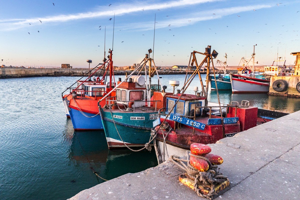 Several colorful boats docked at a harbor with calm water and a clear sky, with birds flying overhead.