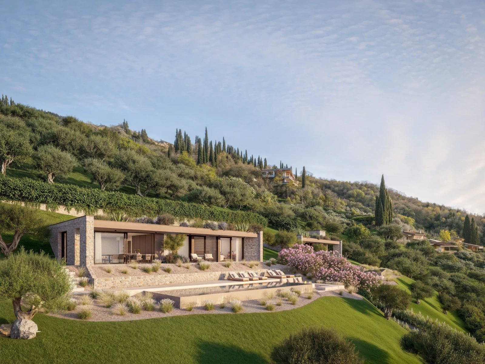 PHOTO-2026-03-24-08-56-14 2.jpg