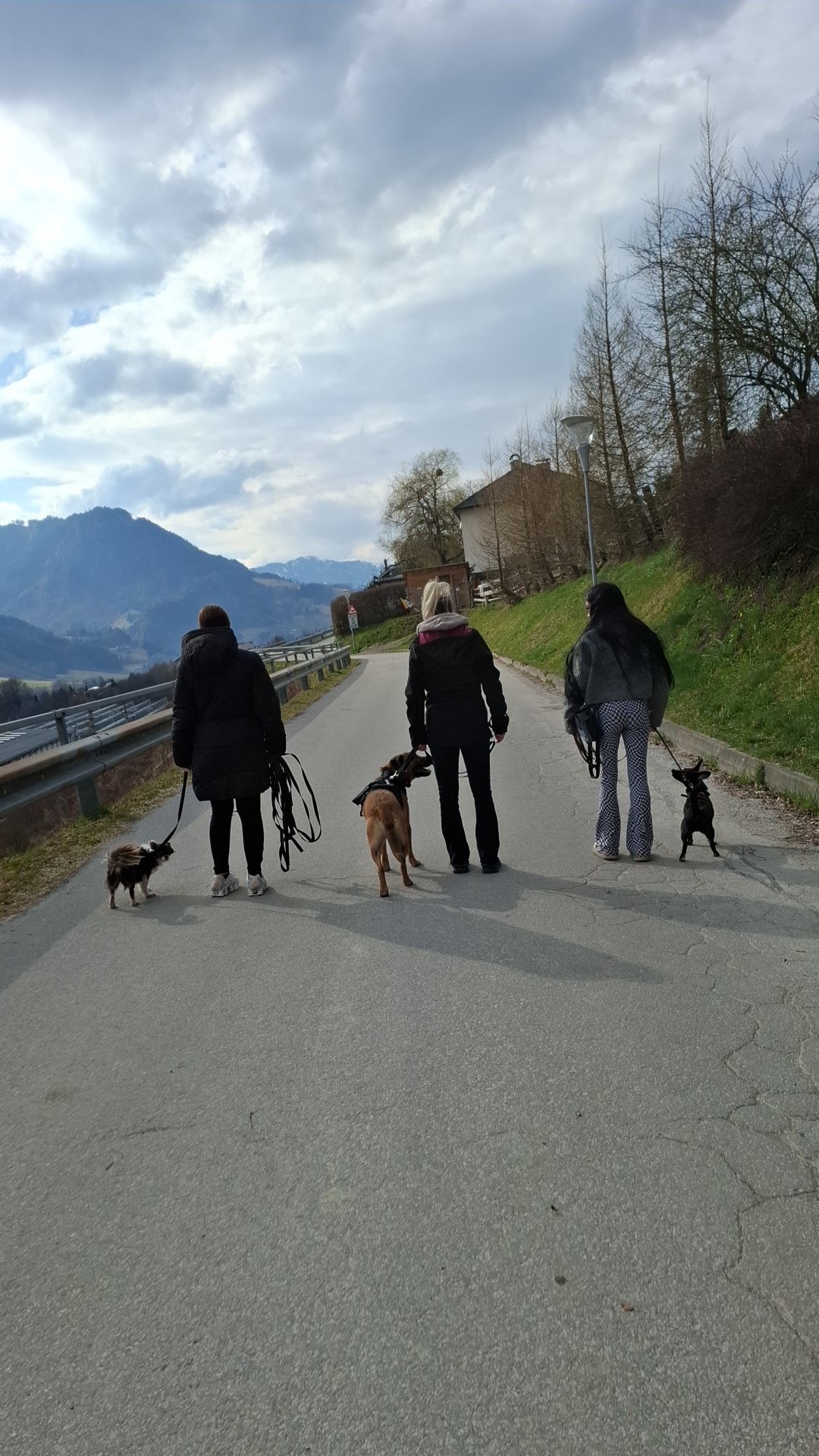 WhatsApp Image 2026-03-22 at 16.57.32.jpeg