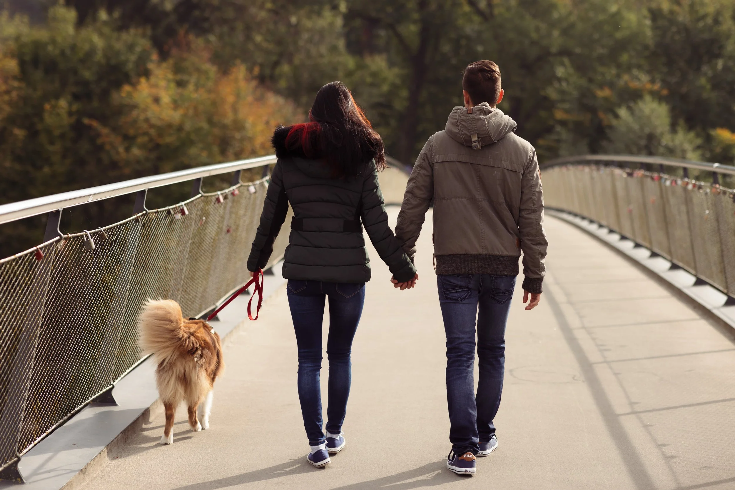 Paar spaziert Hand in Hand auf einer Brücke mit Hund.