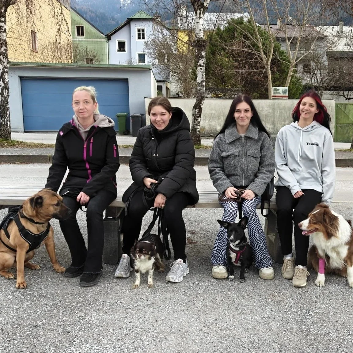 Sozial Walk mit Hund