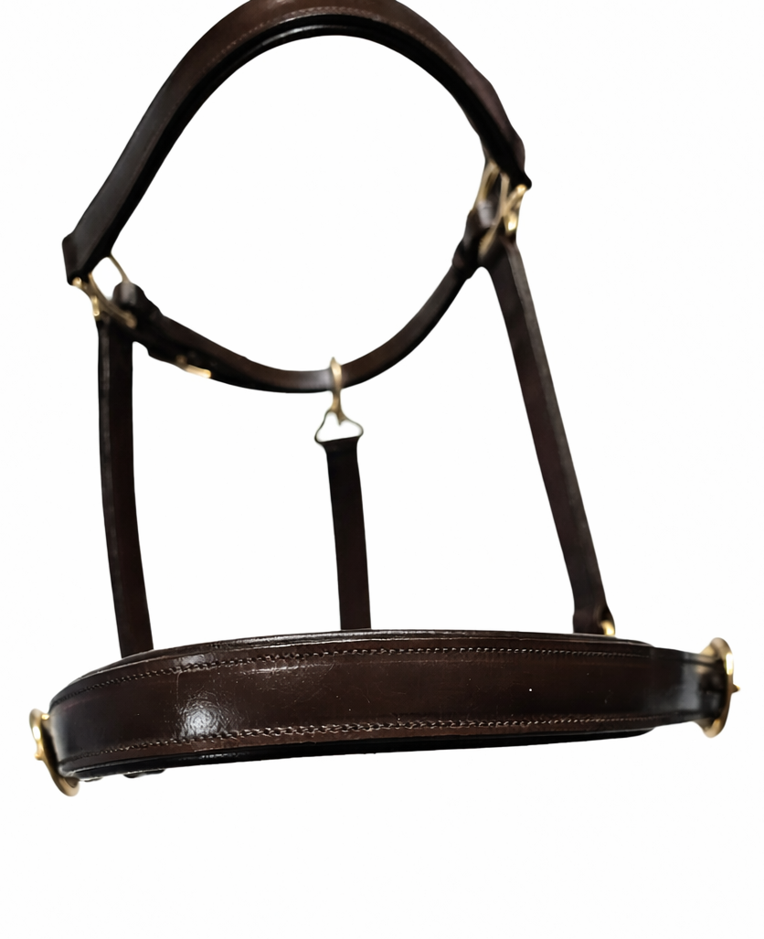 top view of brown leather halter
