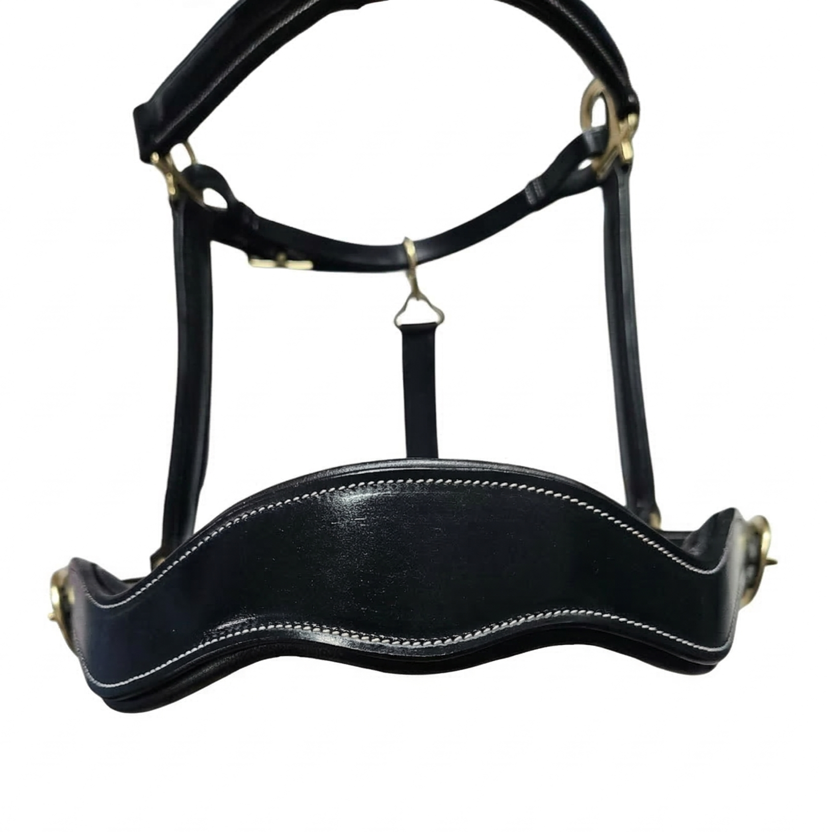 headpiece of black anatomical halter