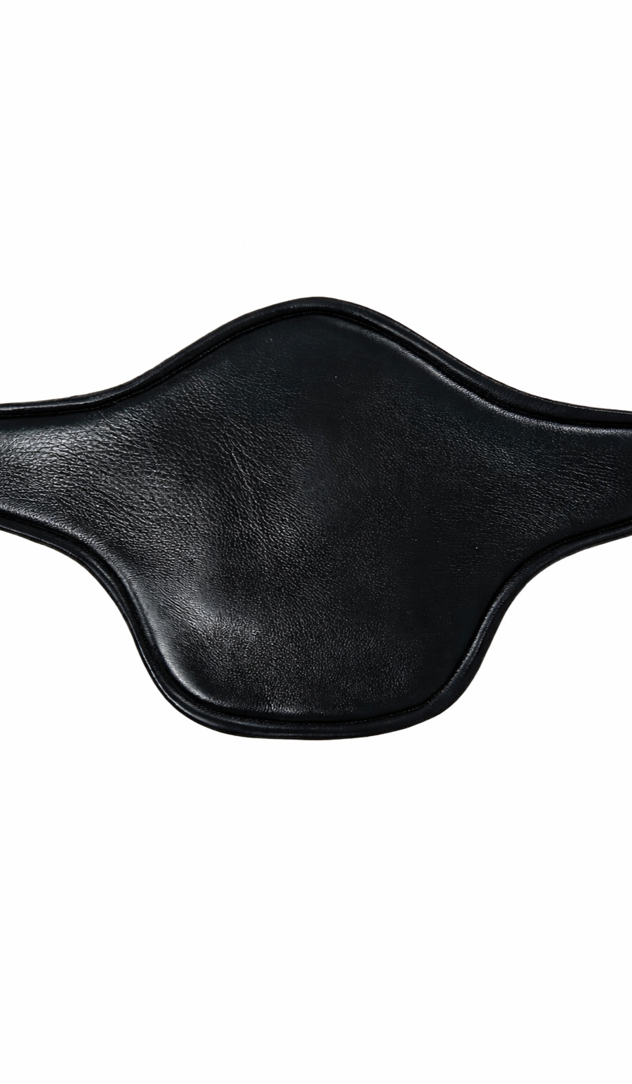 Close-up of a black leather face mask on a white background.