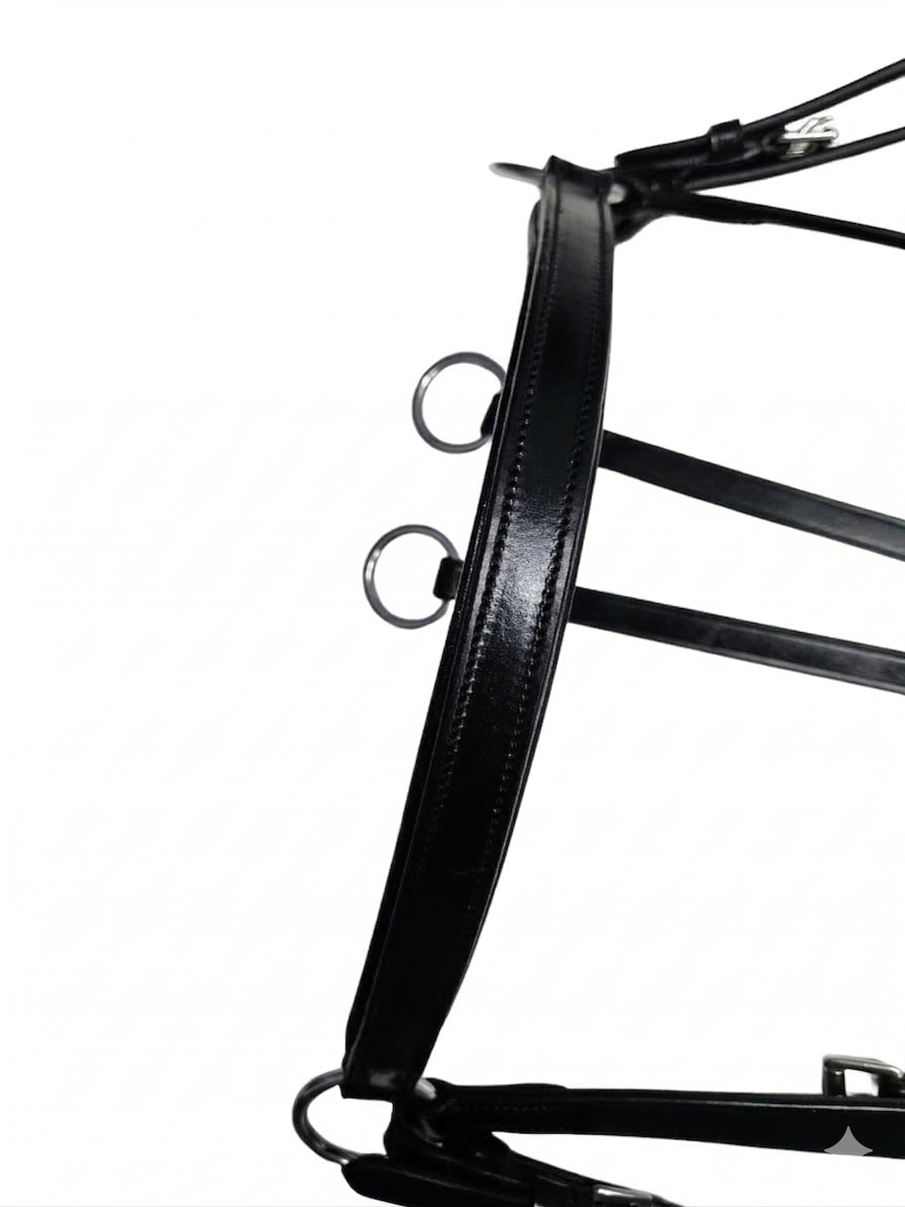 Close-up of the neck strap of a black leather breastplate with ss rings and buckle adjustments on a white background.