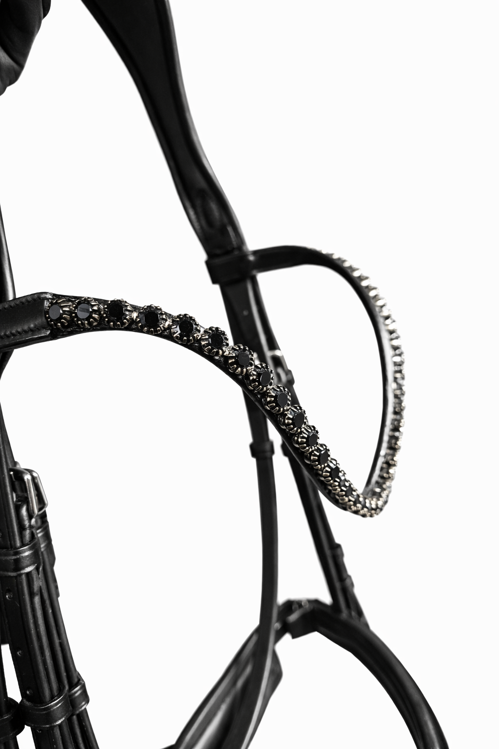 Close-up of black anatomical bridle browband with black crystals
