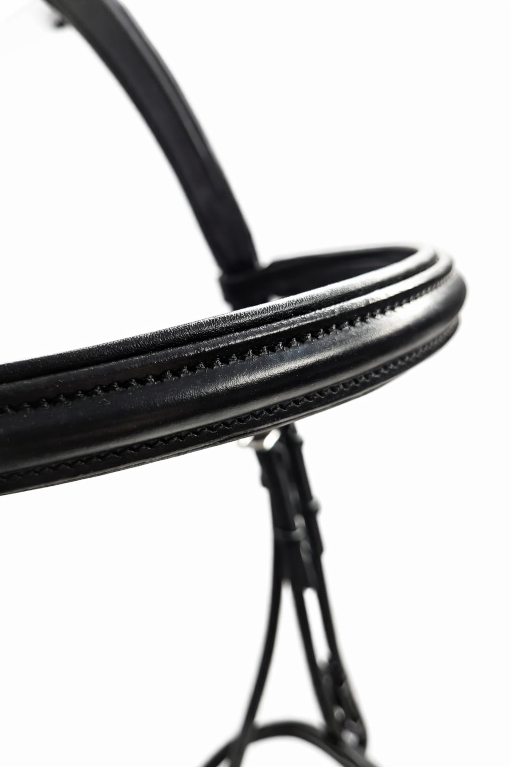 Close-up of black bridle browband 