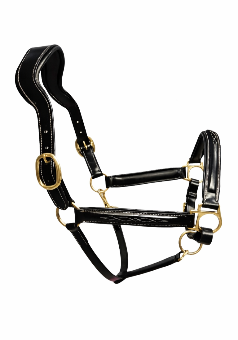 Black leather horse anatomical halter with gold brass hardware on a white background.