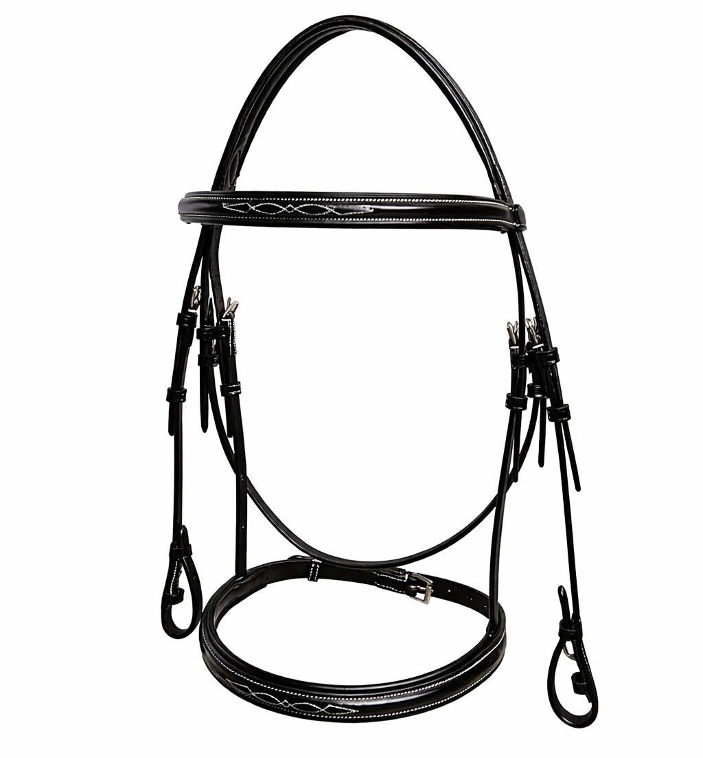 Black leather horse bridle fancy stitched, isolated on white background.