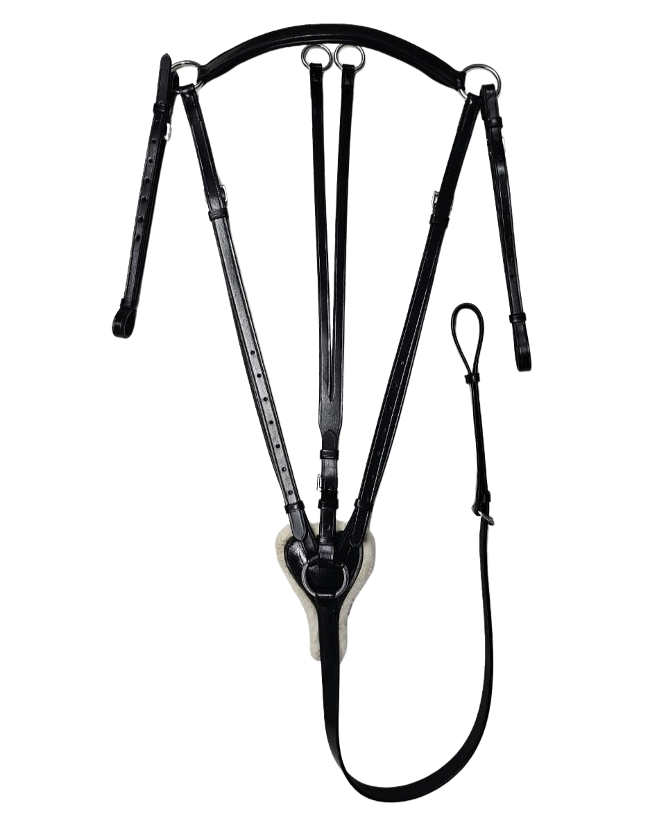 Black 3 point breastplate with straps and a lead rope, isolated on a white background.