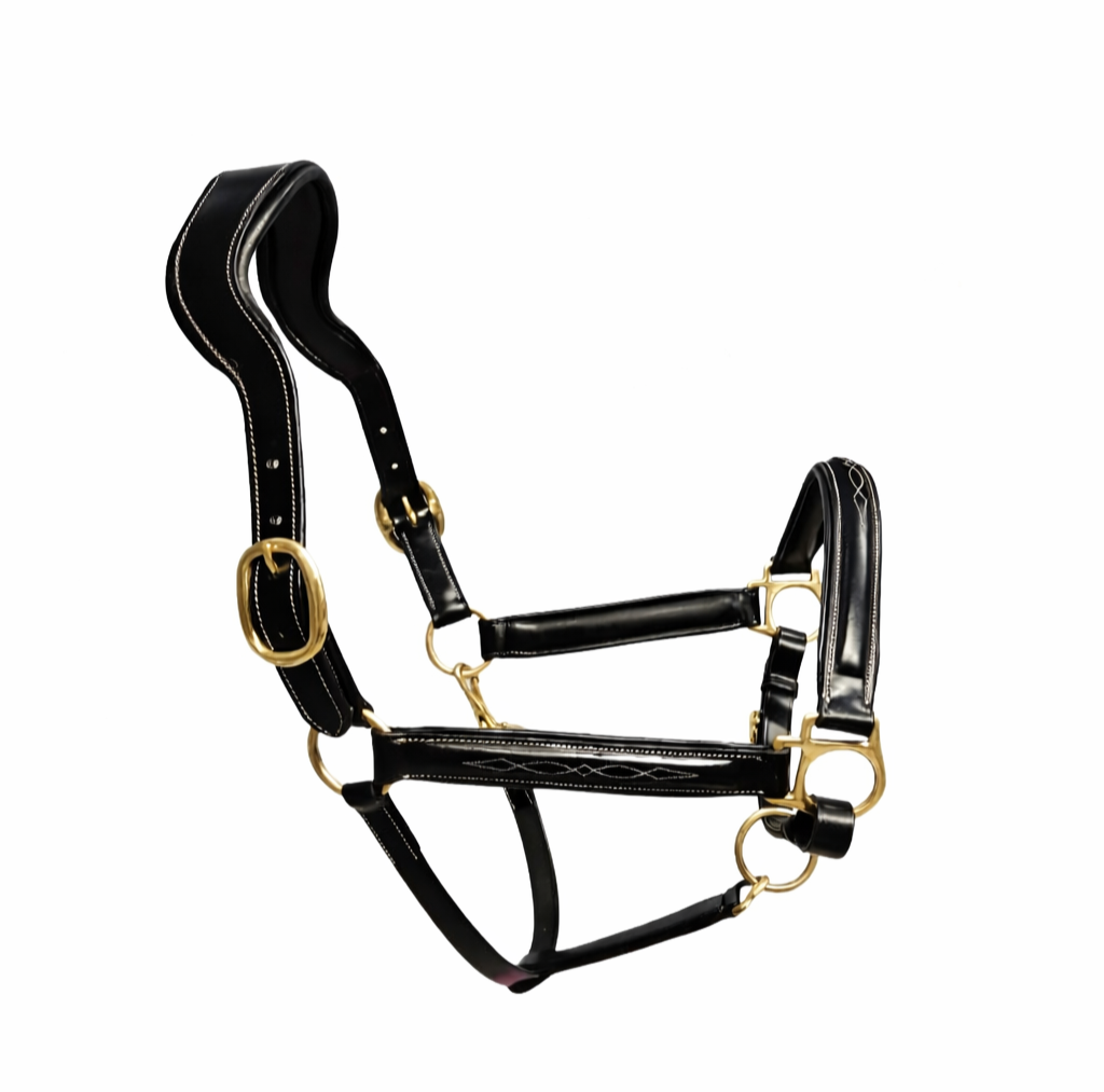 Black anatomical leather halter with brass hardware