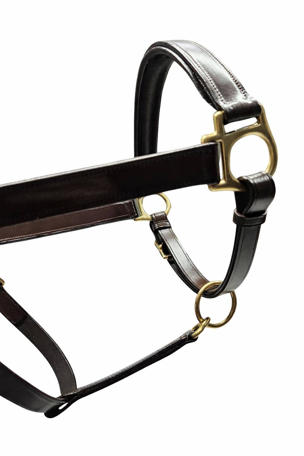 Close-up of brown leather halter strap with brass hardware

