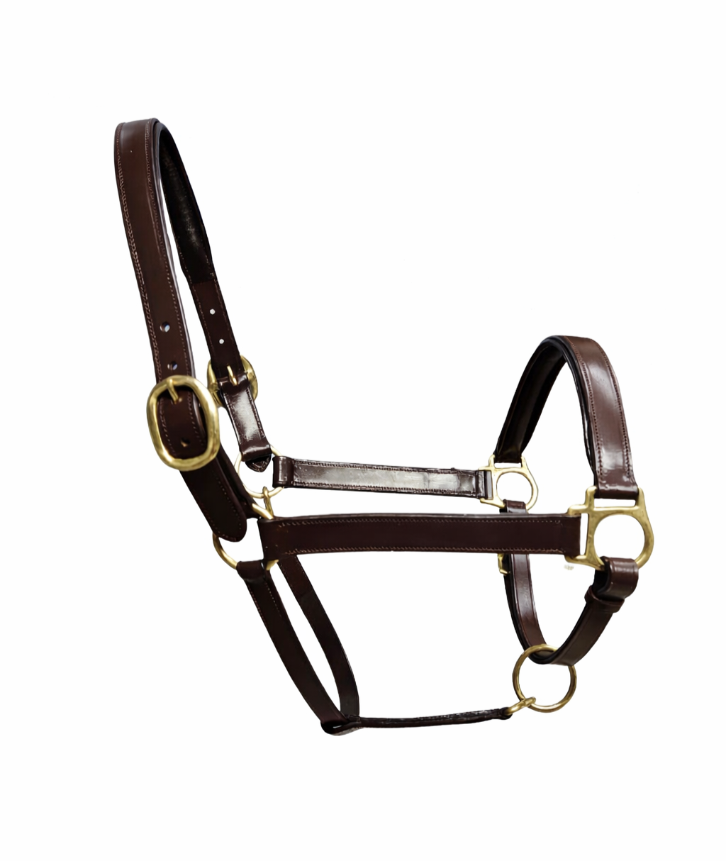 A brown leather horse halter with brass hardware isolated on a white background.