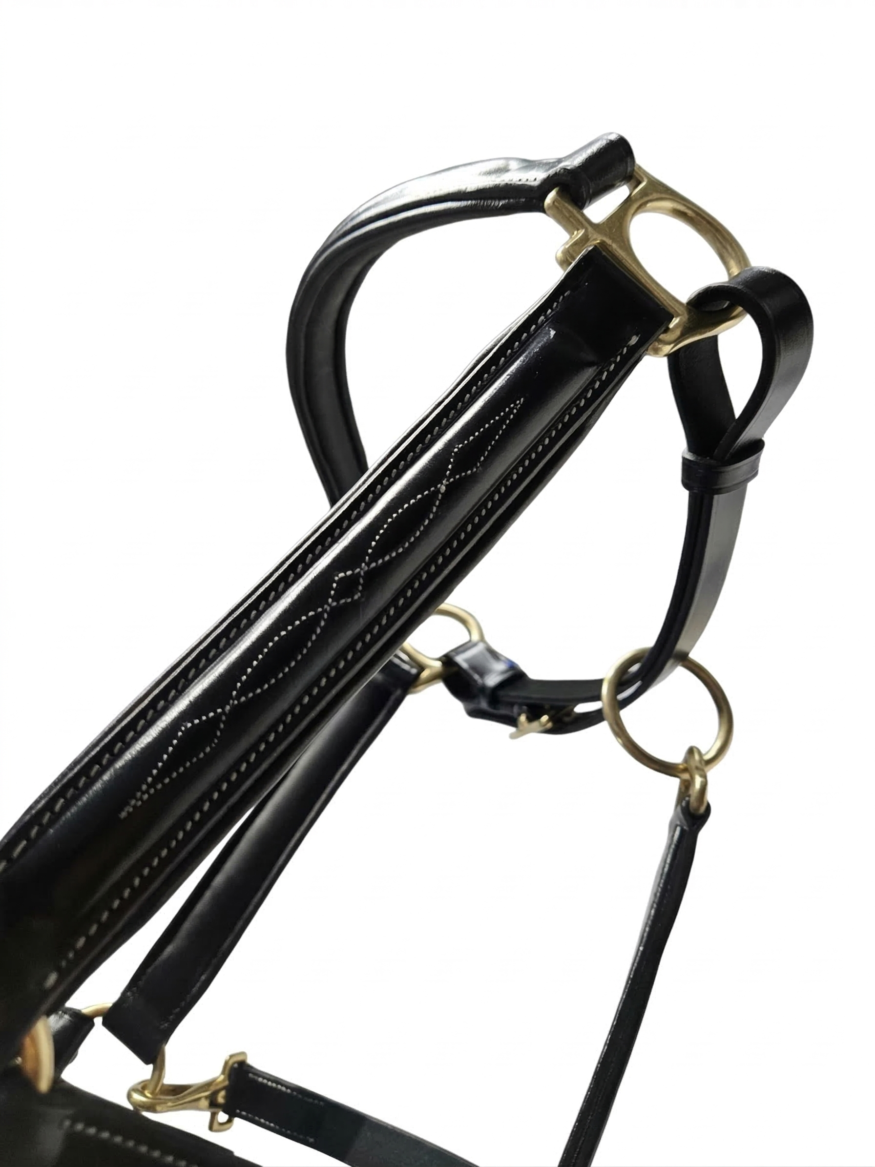 Close-up of black leather halter strap with brass hardware and fancy stitch