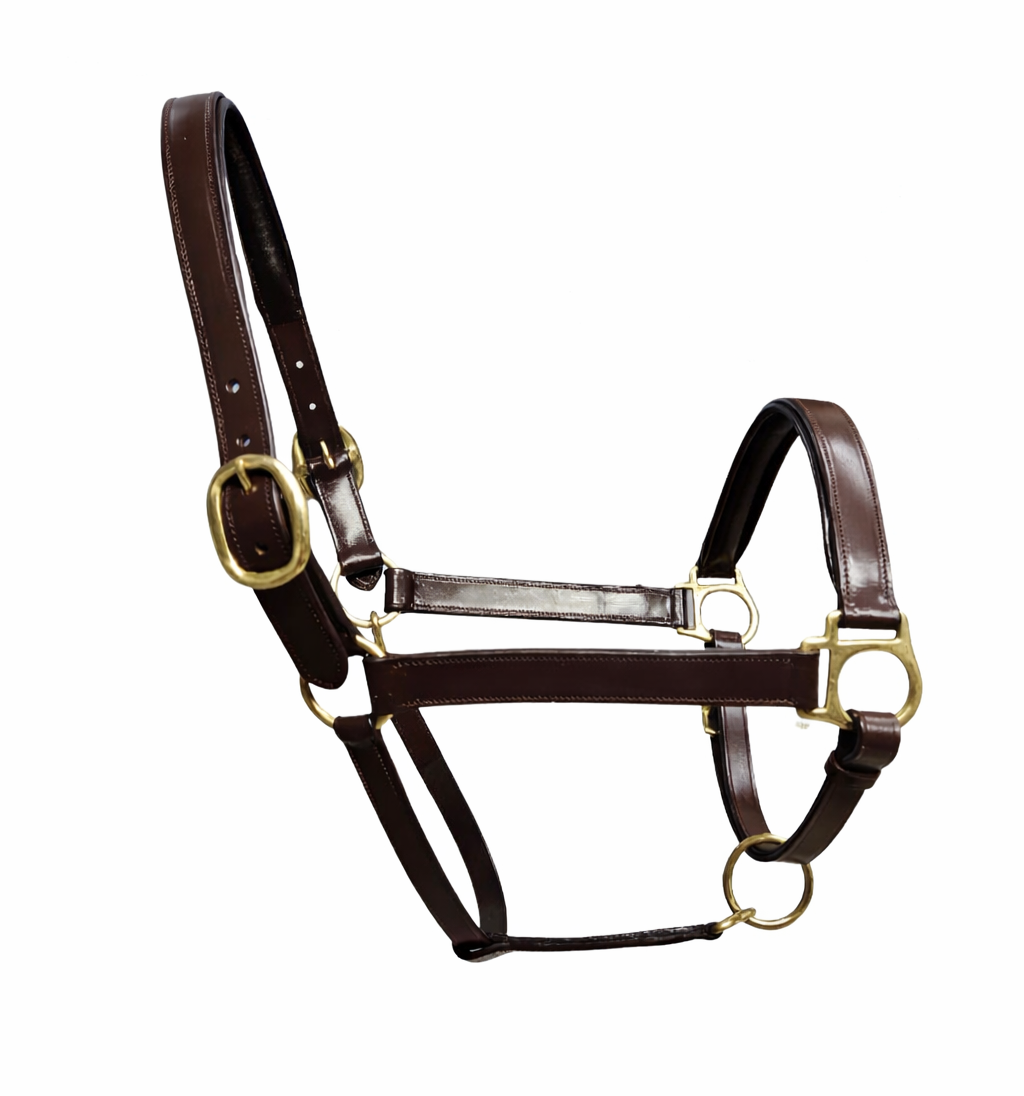 A brown leather horse halter with brass gold hardware, including buckles and rings, on a white background.
