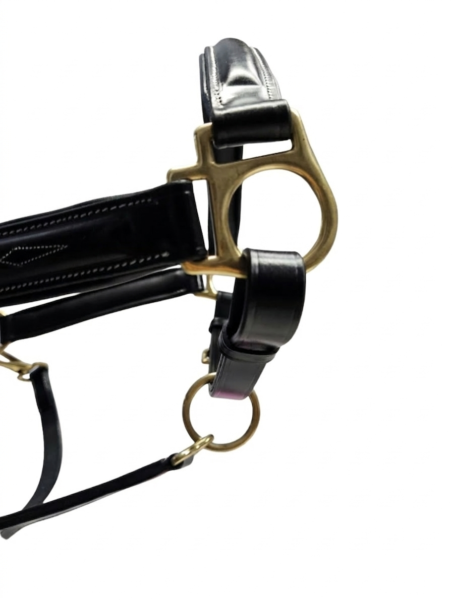 close of brass hardware of black leather anatomical halter 