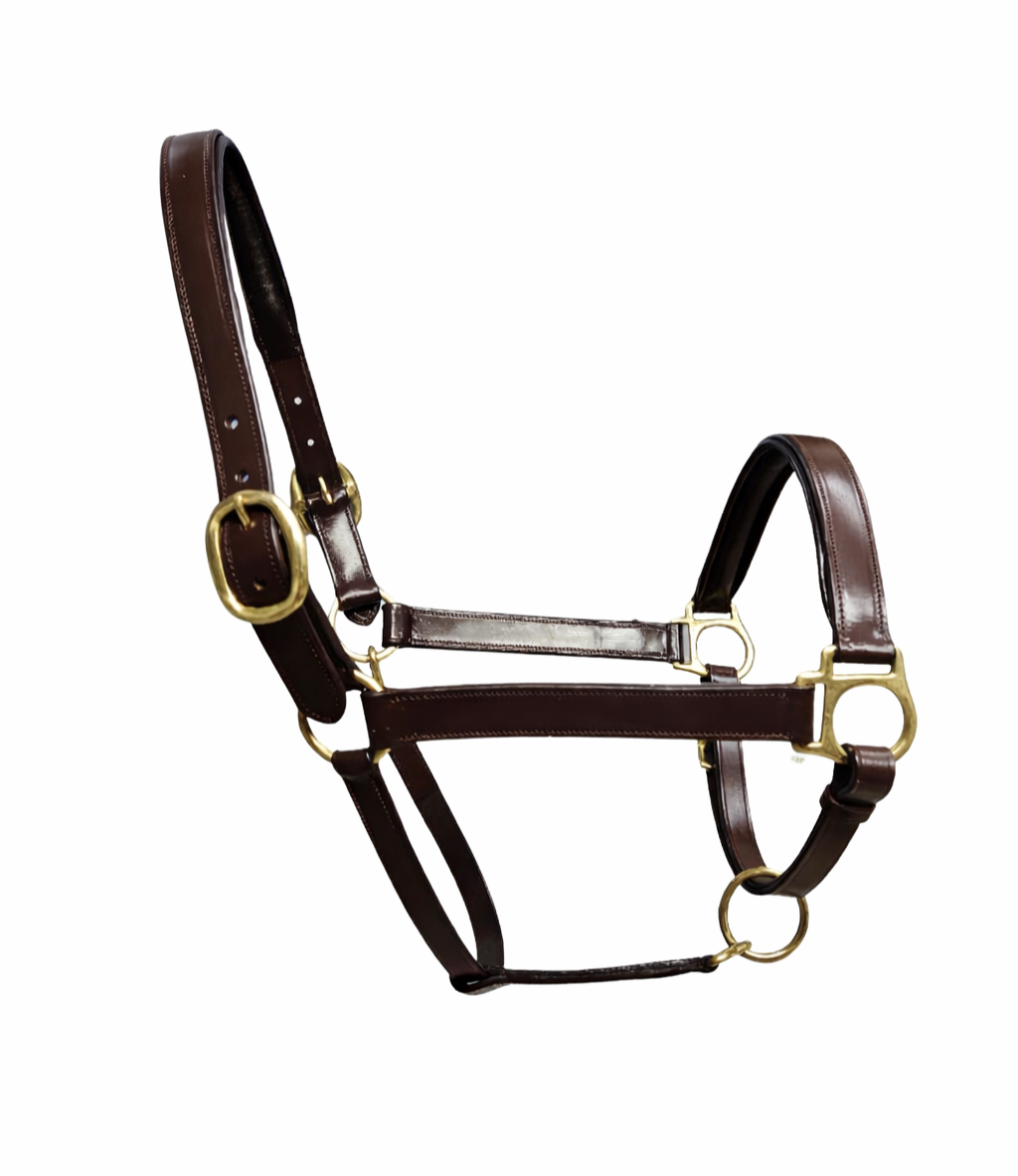 Brown leather halter with brass hardware