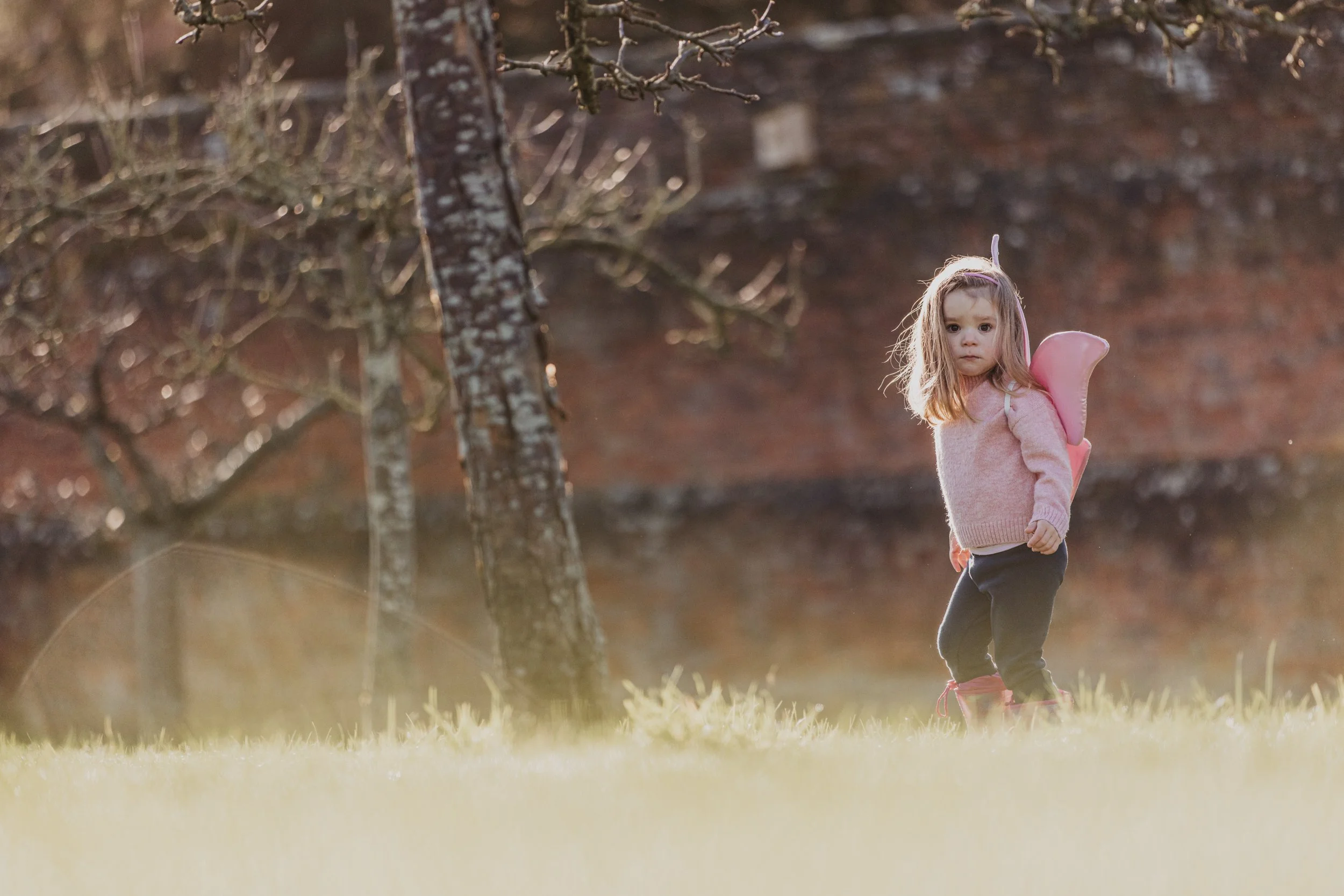 A young girl with fairy wings, wearing a pink sweater and dark pants, standing on a grassy field with trees and a brick wall in the background.