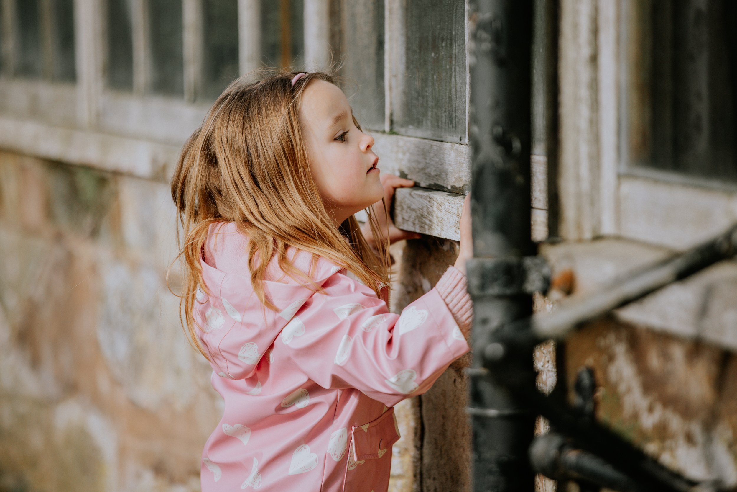 A young girl with red hair wearing a pink raincoat with white hearts looks through a gap in a weathered wooden and brick fence.