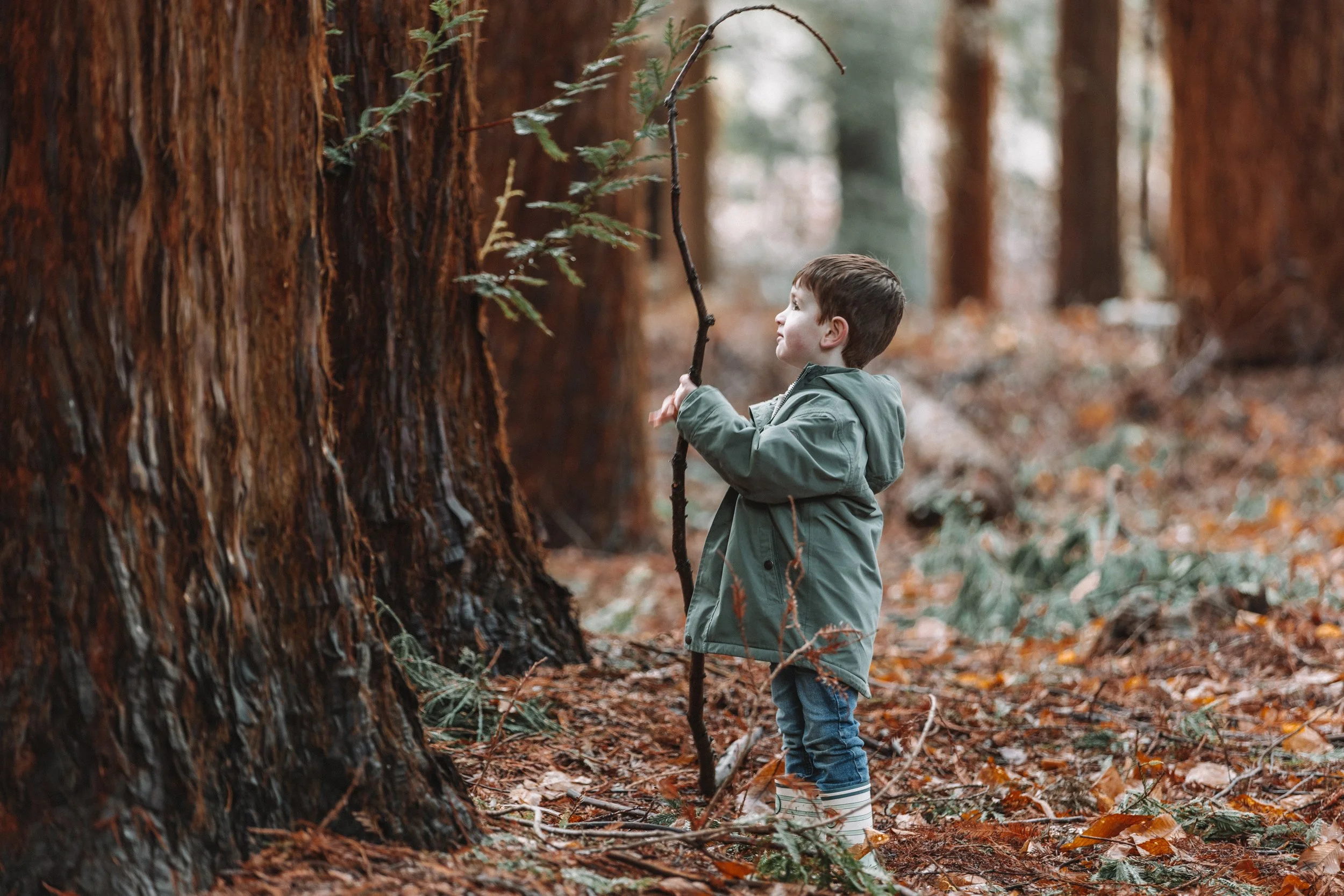 A young boy standing in a forest, holding a walking stick and looking up at a large tree trunk.