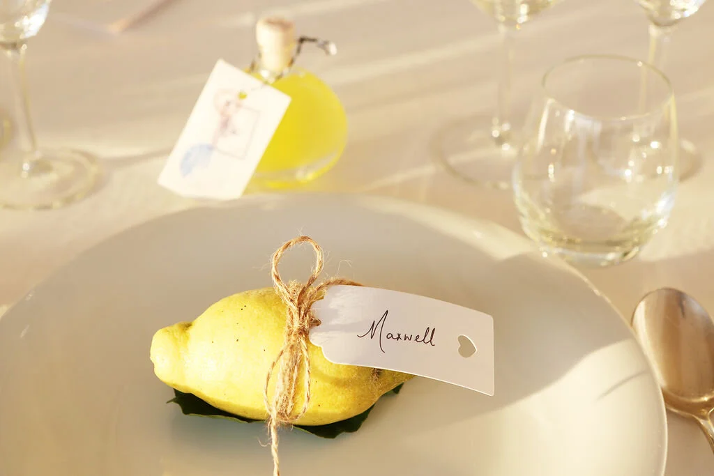 Meant to Last - Sustainable Weddings 