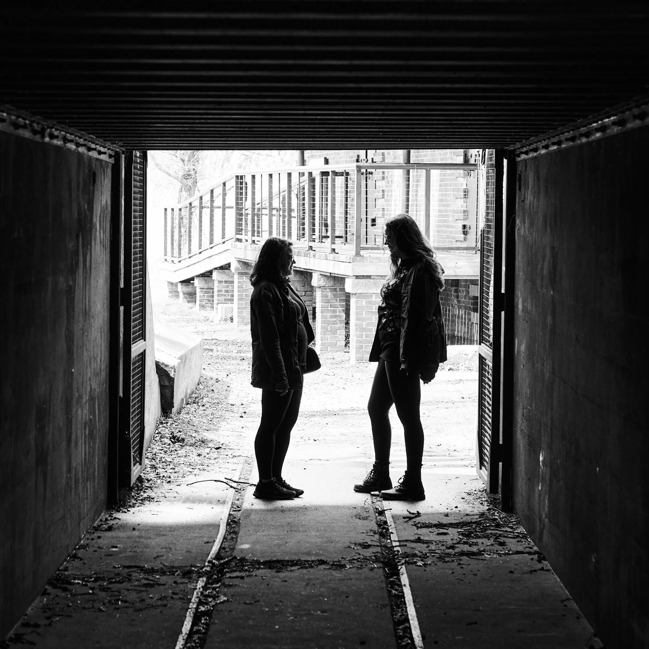 Beyond Questioning- 'To Disclose, or Not to Disclose’. 