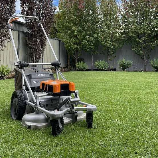 Basic Clean or Lawn Mowing