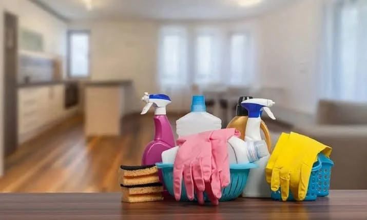 Deep Clean or Garden Clean-Up