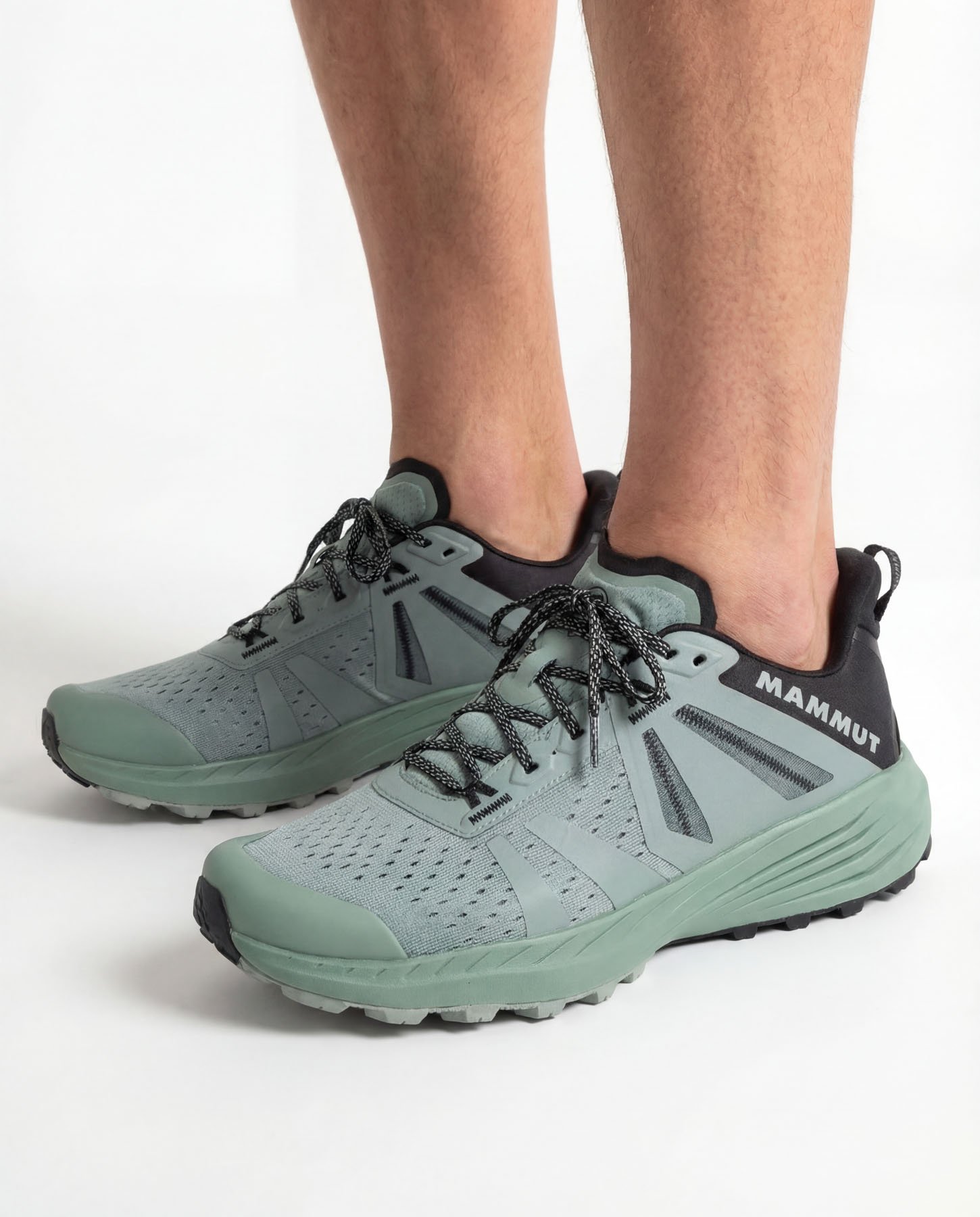 Mammut_model_3.jpg