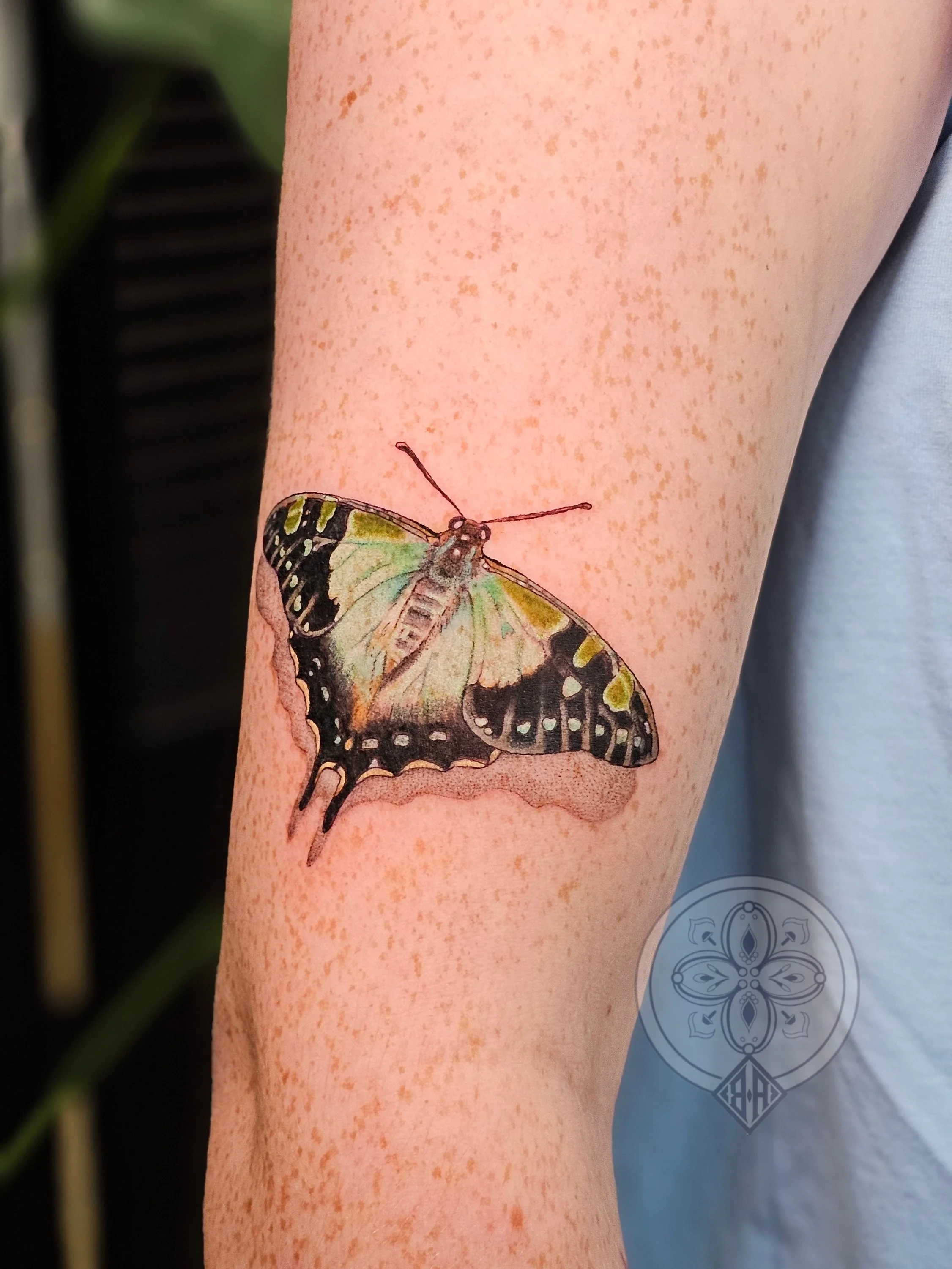 Realistic butterfly tattoo 