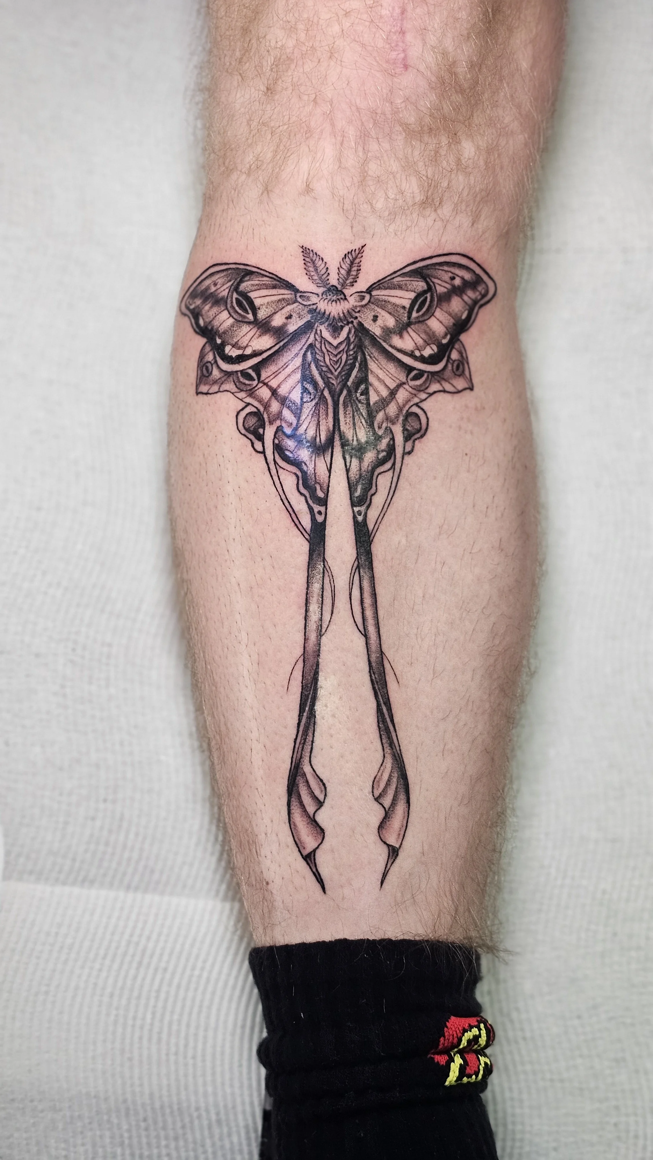 Stylised realism moth in black and grey 