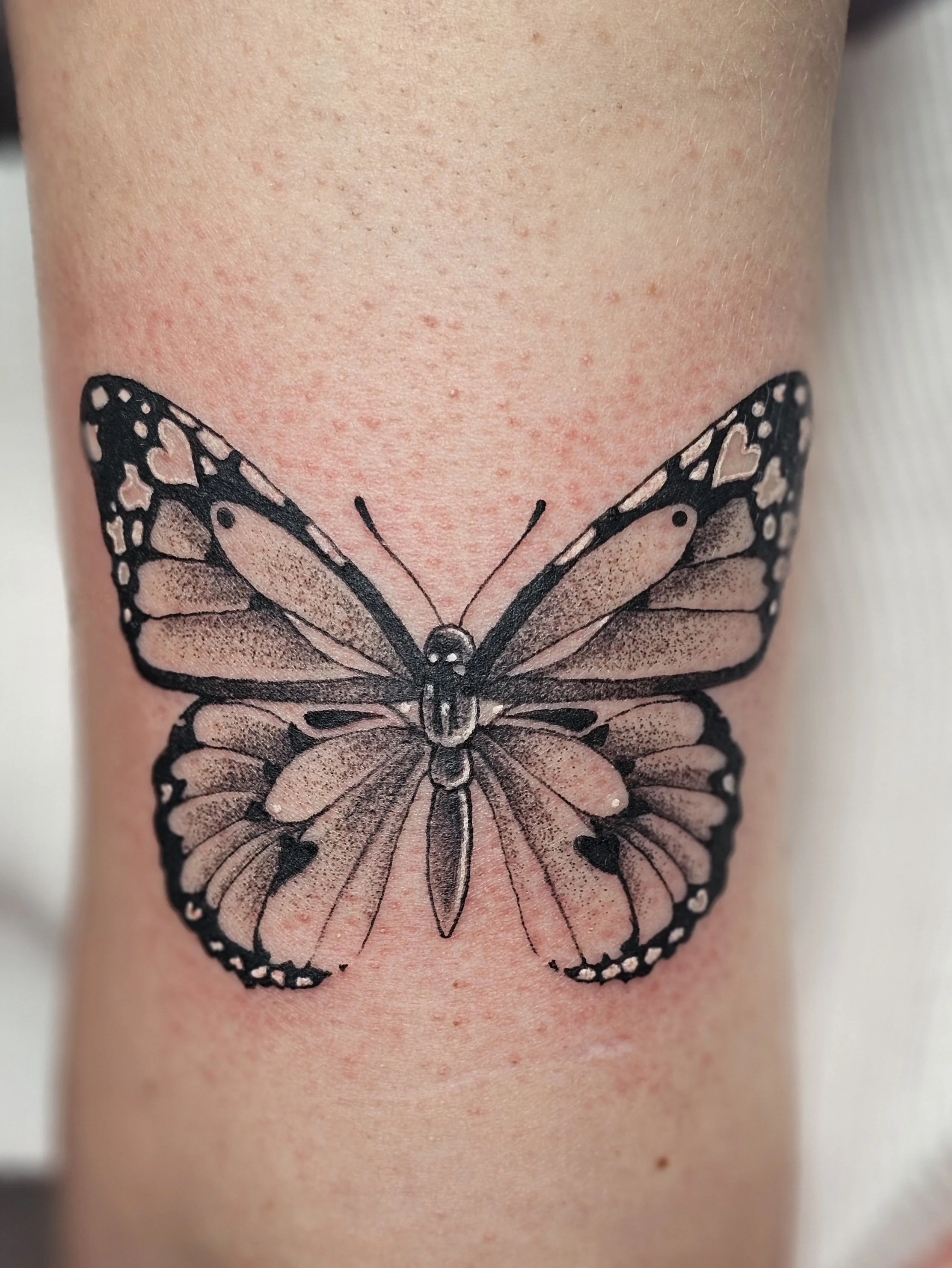 Butterfly Tattoo Hobart